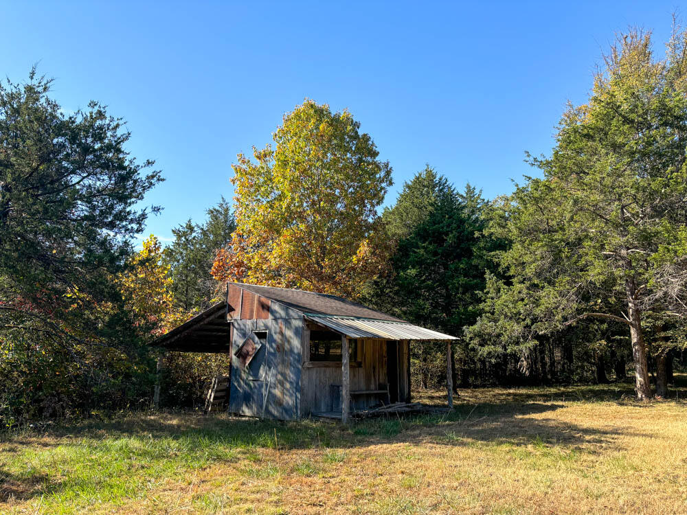 98 Evans Trail Property Photo 5