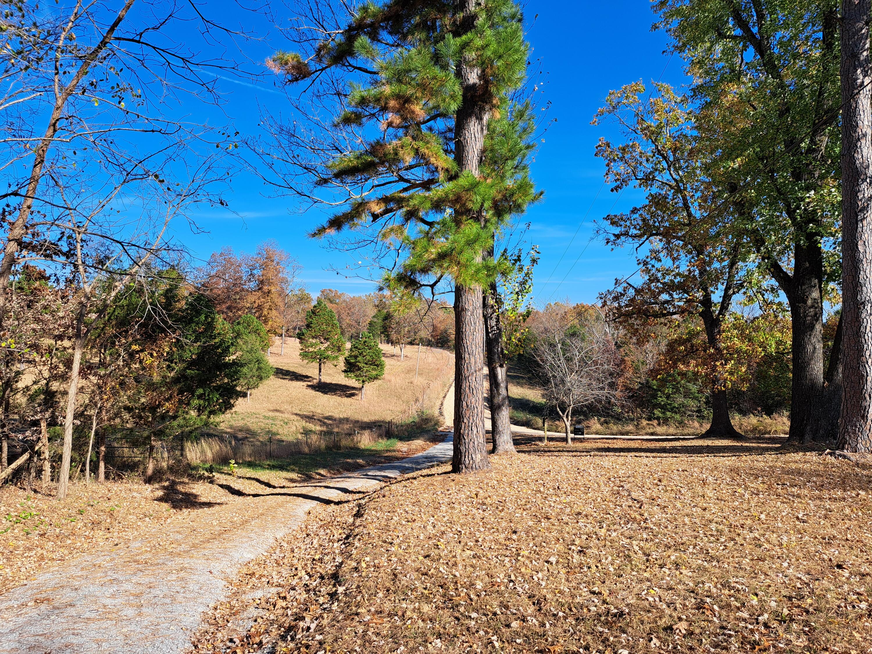 109 County Road 555b Property Photo 44