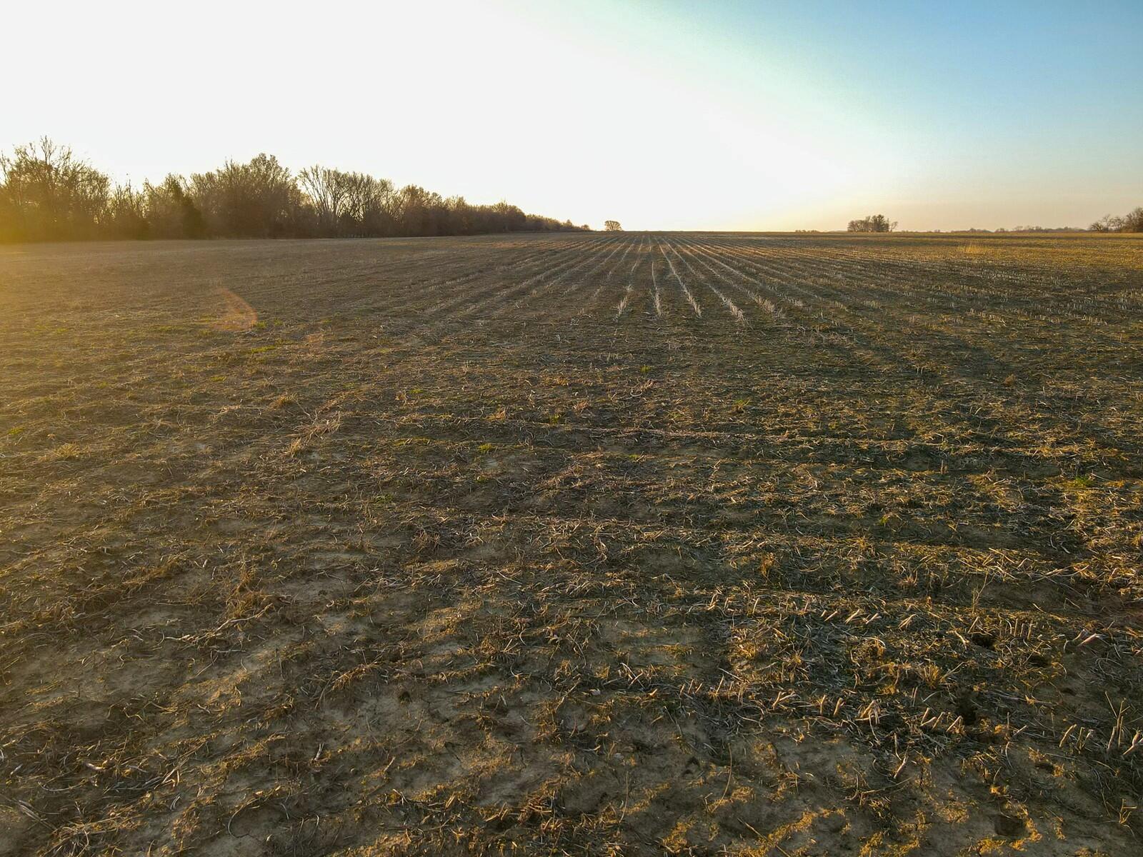 49 Northwest 100th Road Property Photo 5