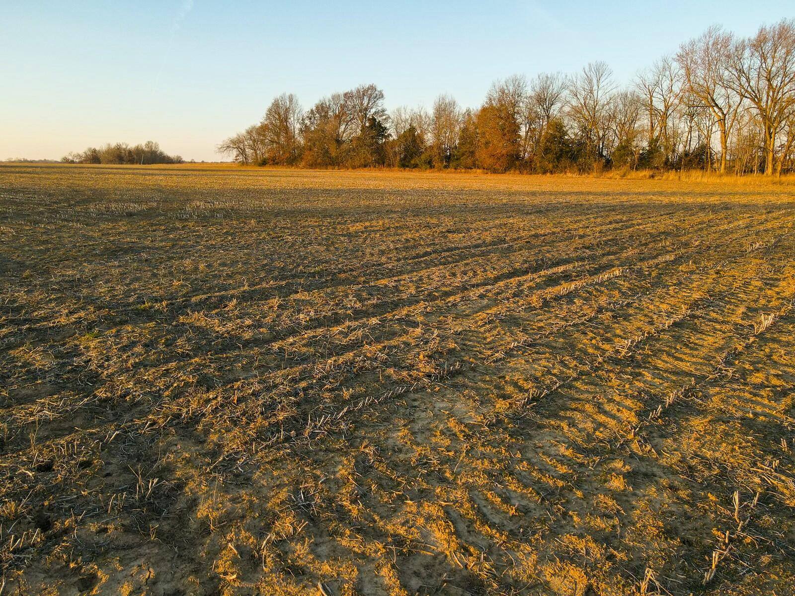 49 Northwest 100th Road Property Photo 6