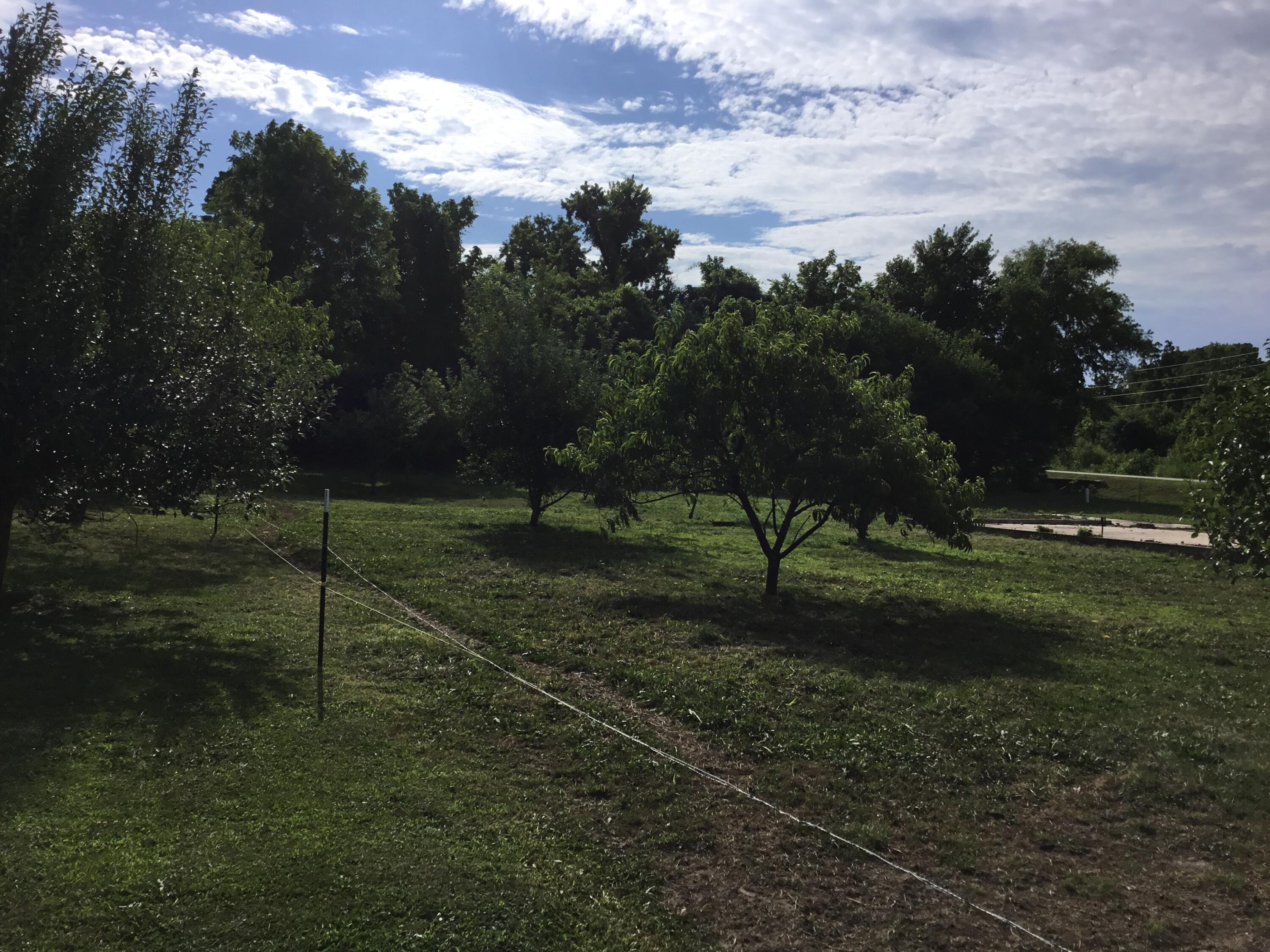 4550 East Hwy 38 Street Property Photo 11