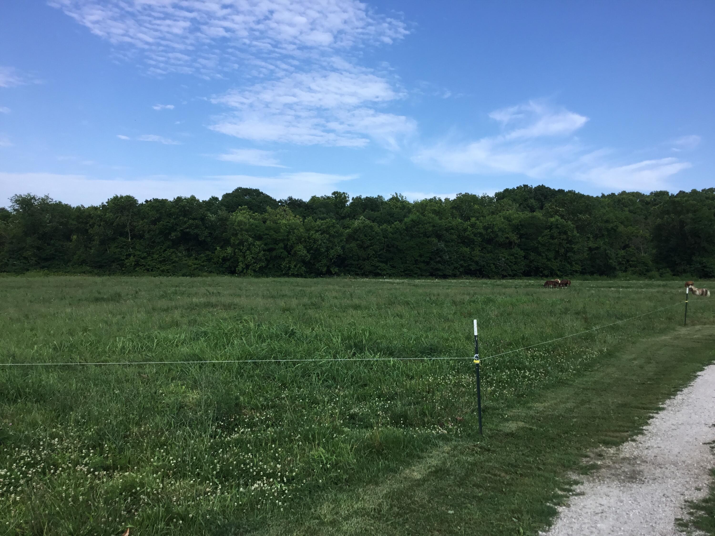 4550 East Highway 38 Street Property Photo 11