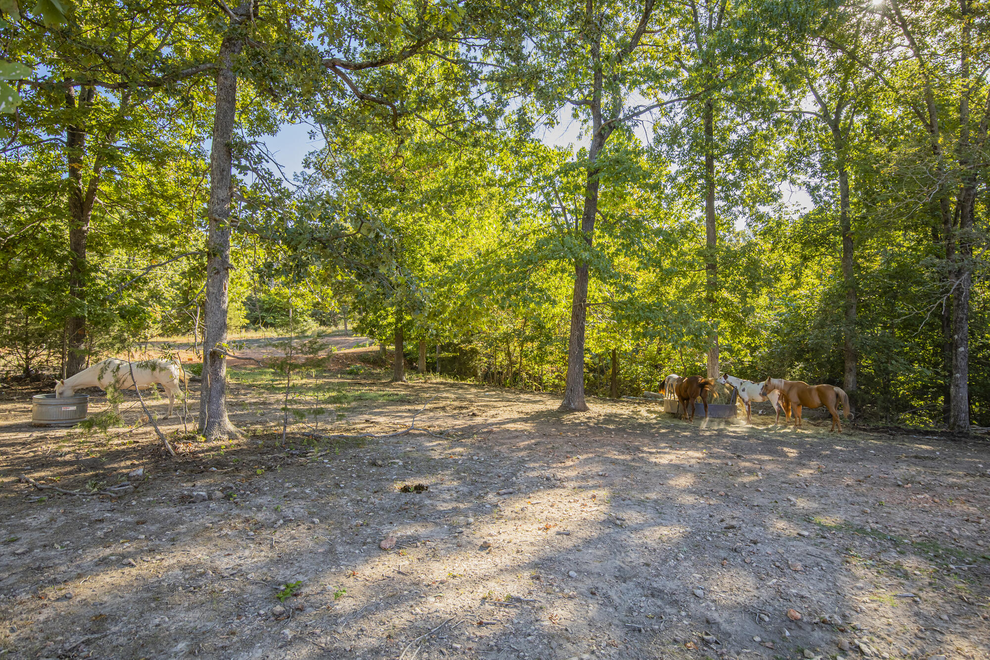 3383 P R 2212 Property Photo 41