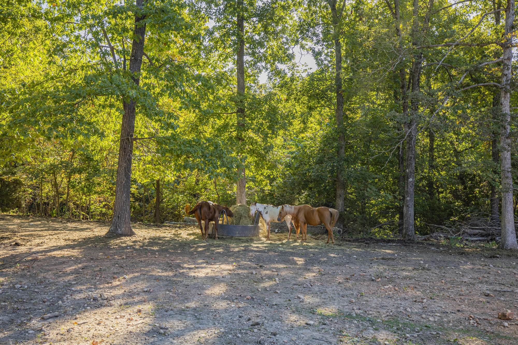 3383 P R 2212 Property Photo 42