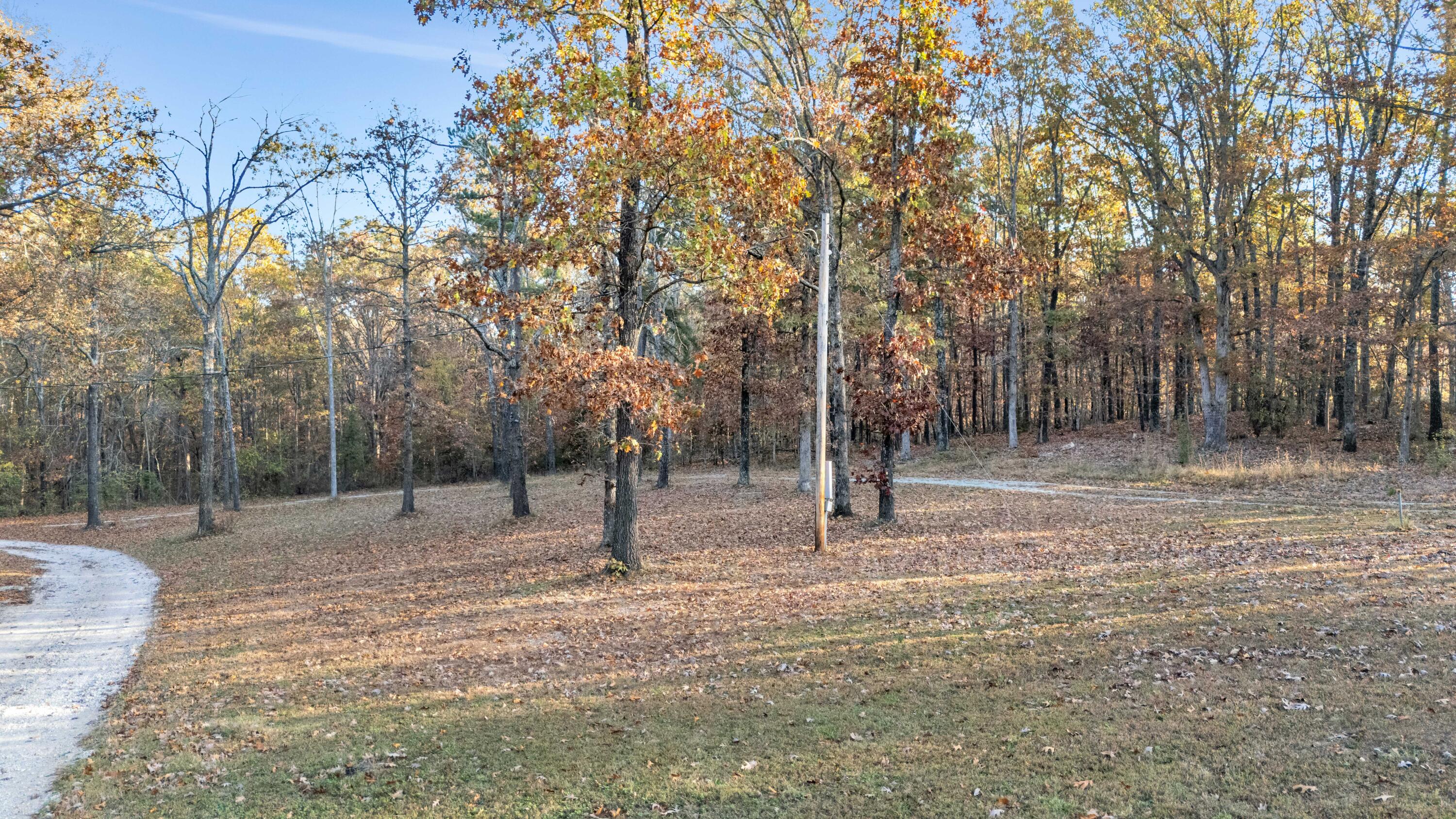10000 County Road 6550 Property Photo 29