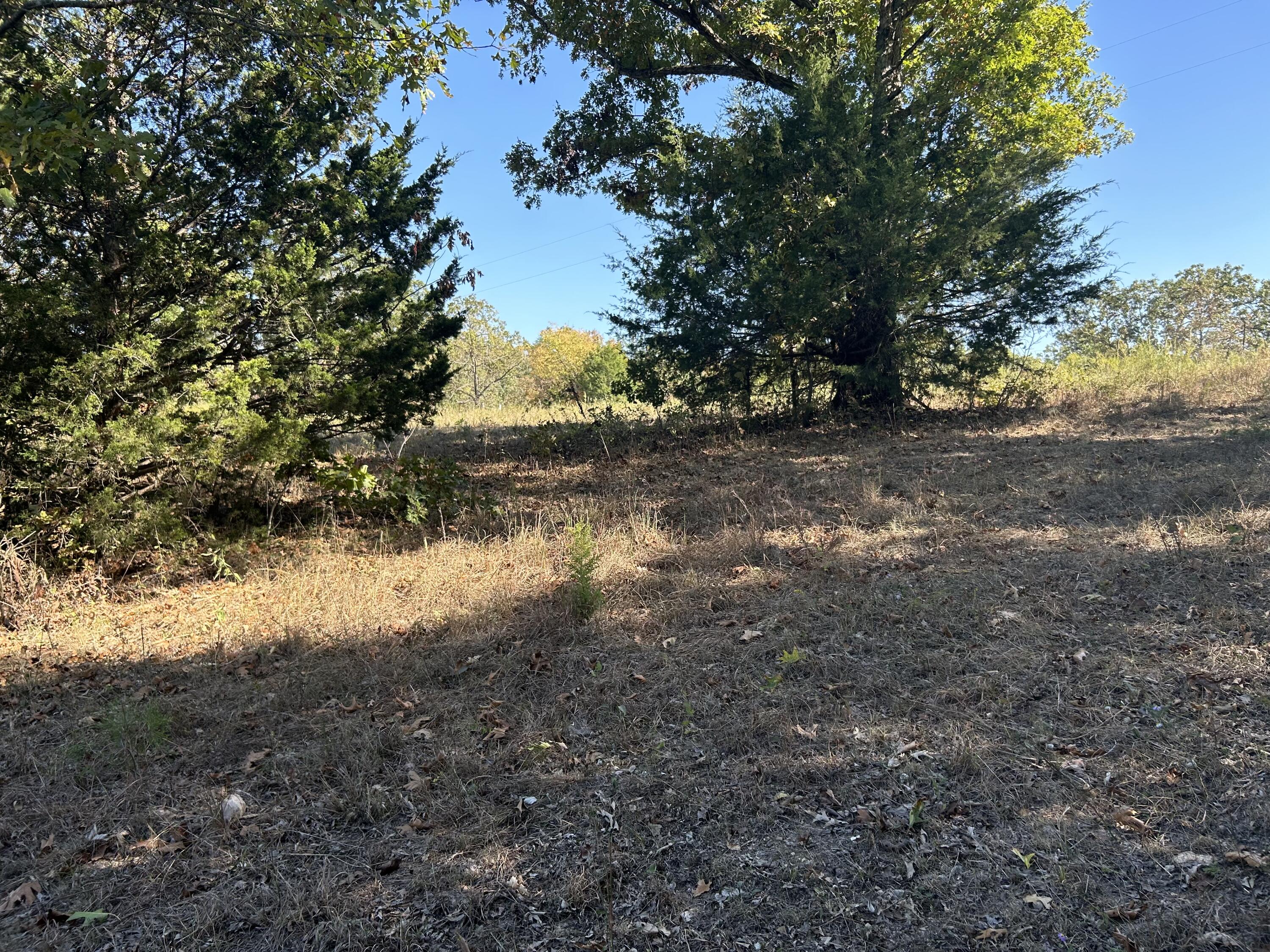 1810 West Branch Property Photo