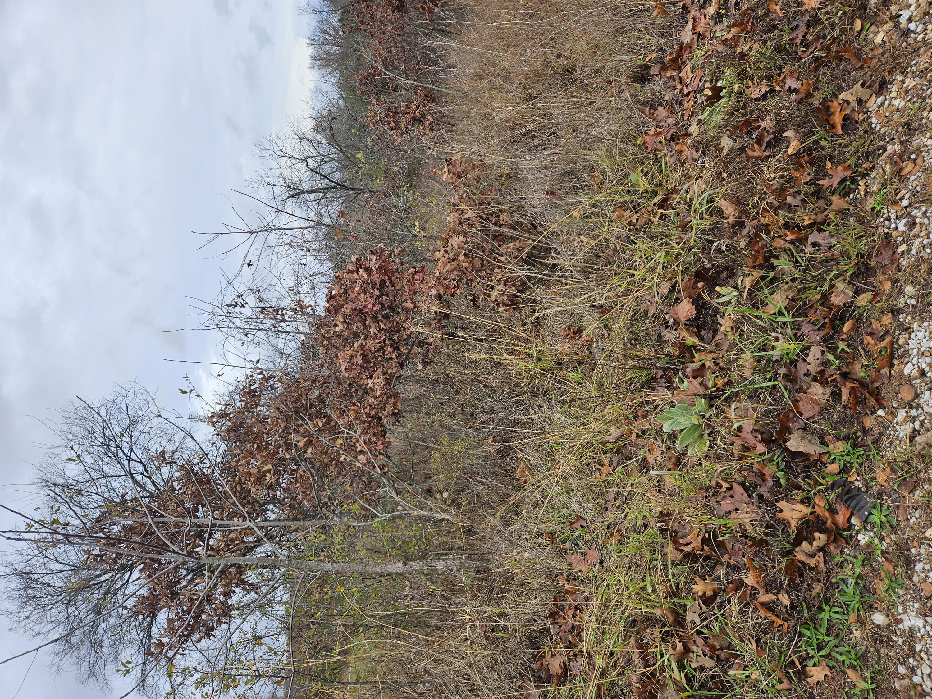 0000 County Road 281 Property Photo