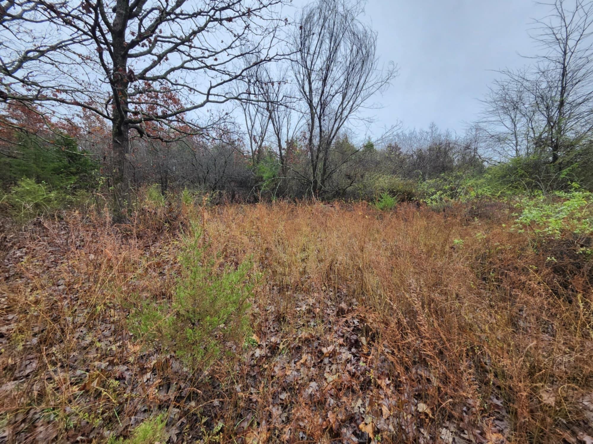 000 Tbd Emery Road Property Photo