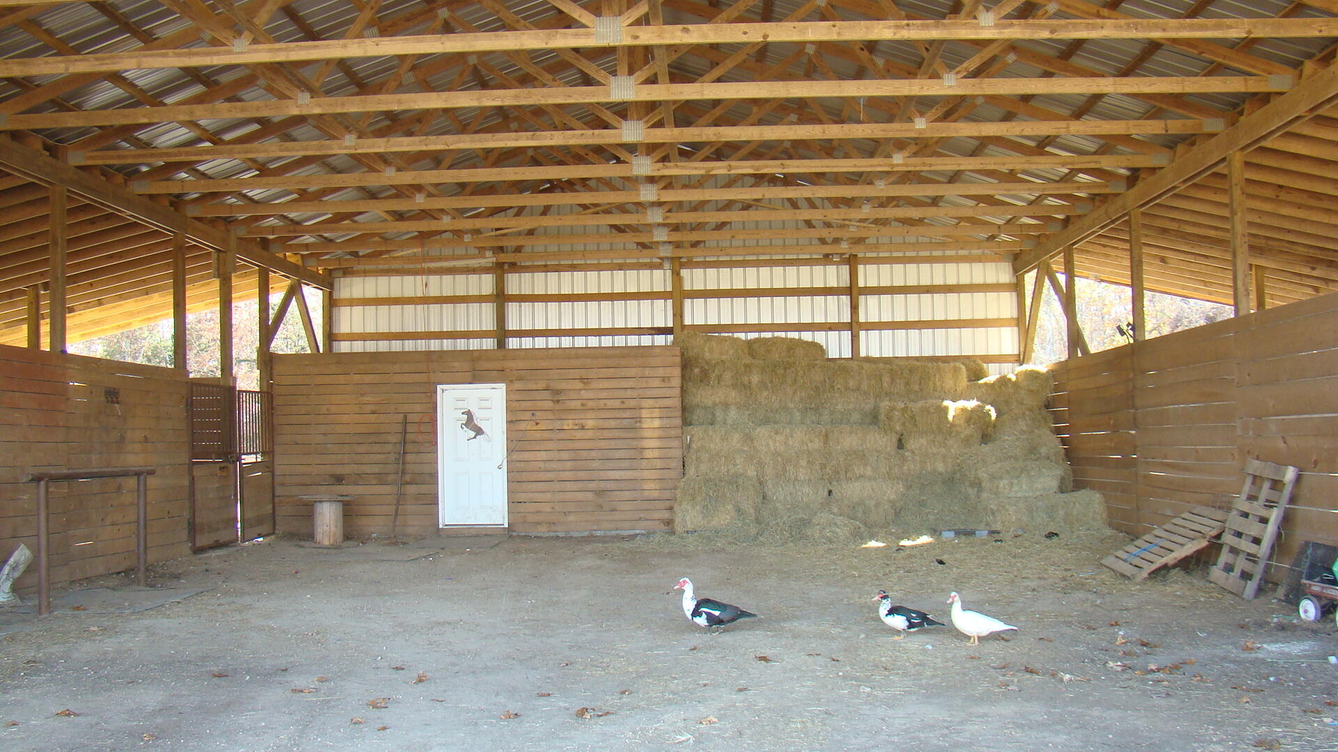 960 County Road 3030 Property Photo 7