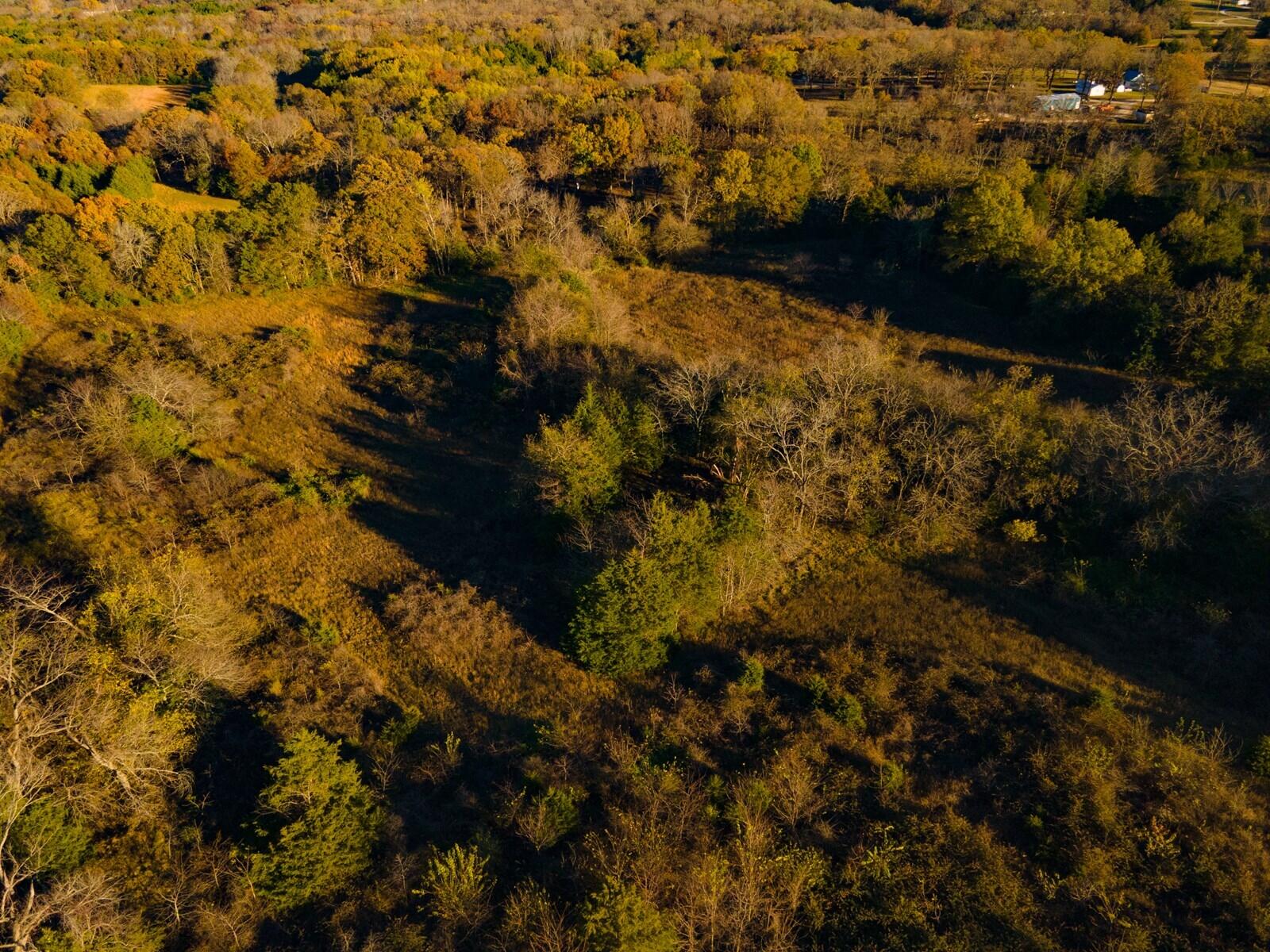 19397 H Highway Property Photo 41