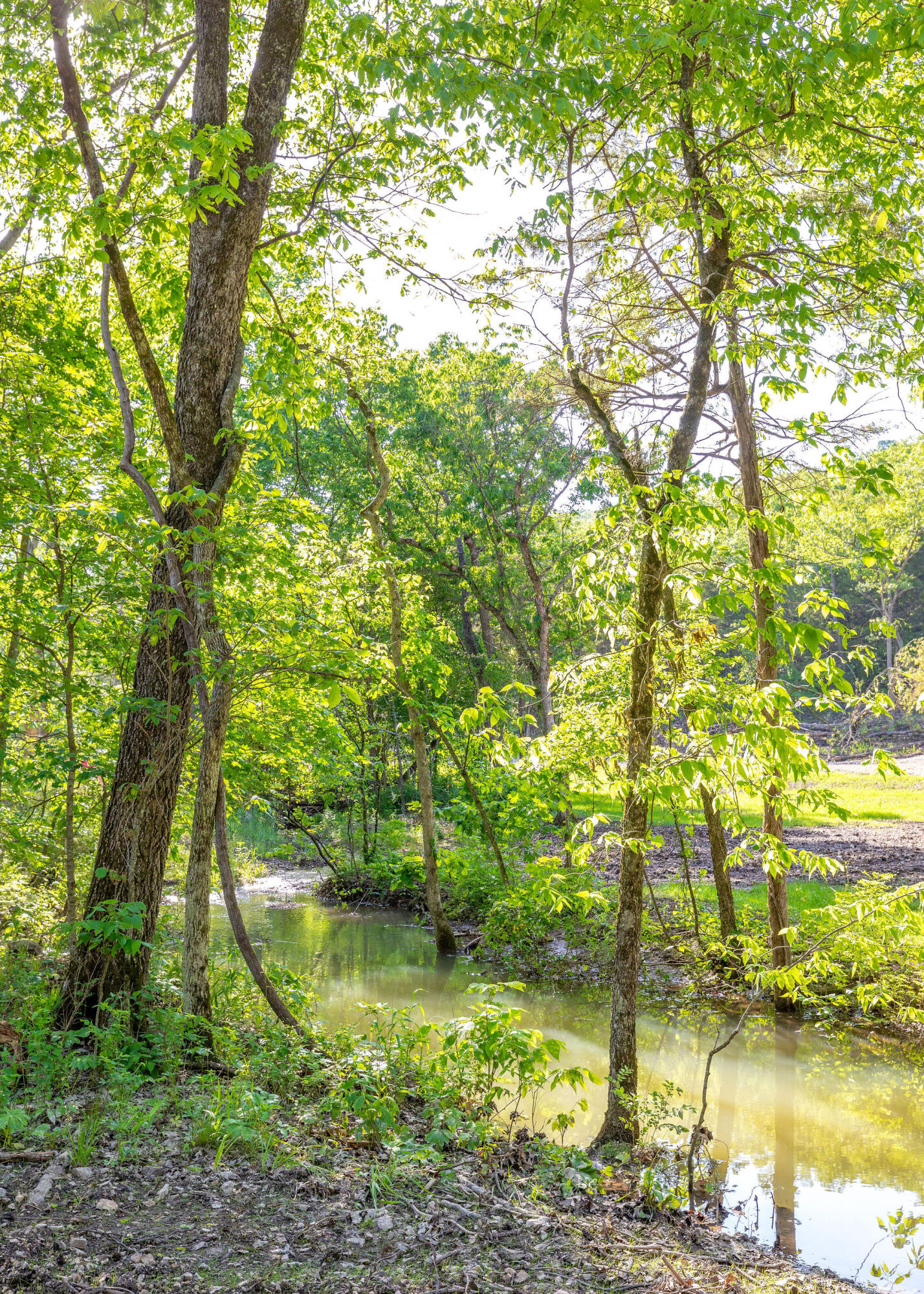 131 Backwoods Loop Property Photo 10