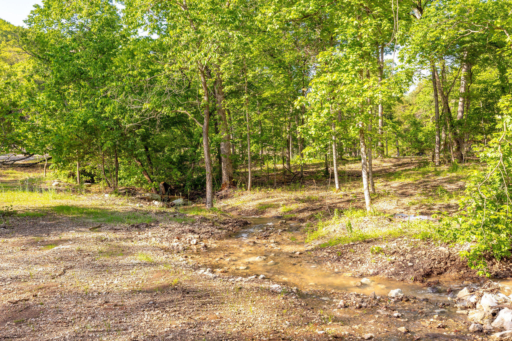 131 Backwoods Loop Property Photo 12