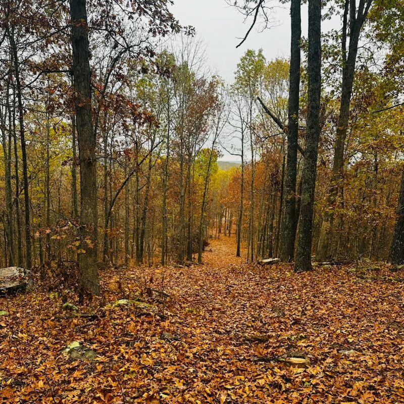 12879 Hwy O Highway Property Photo 1