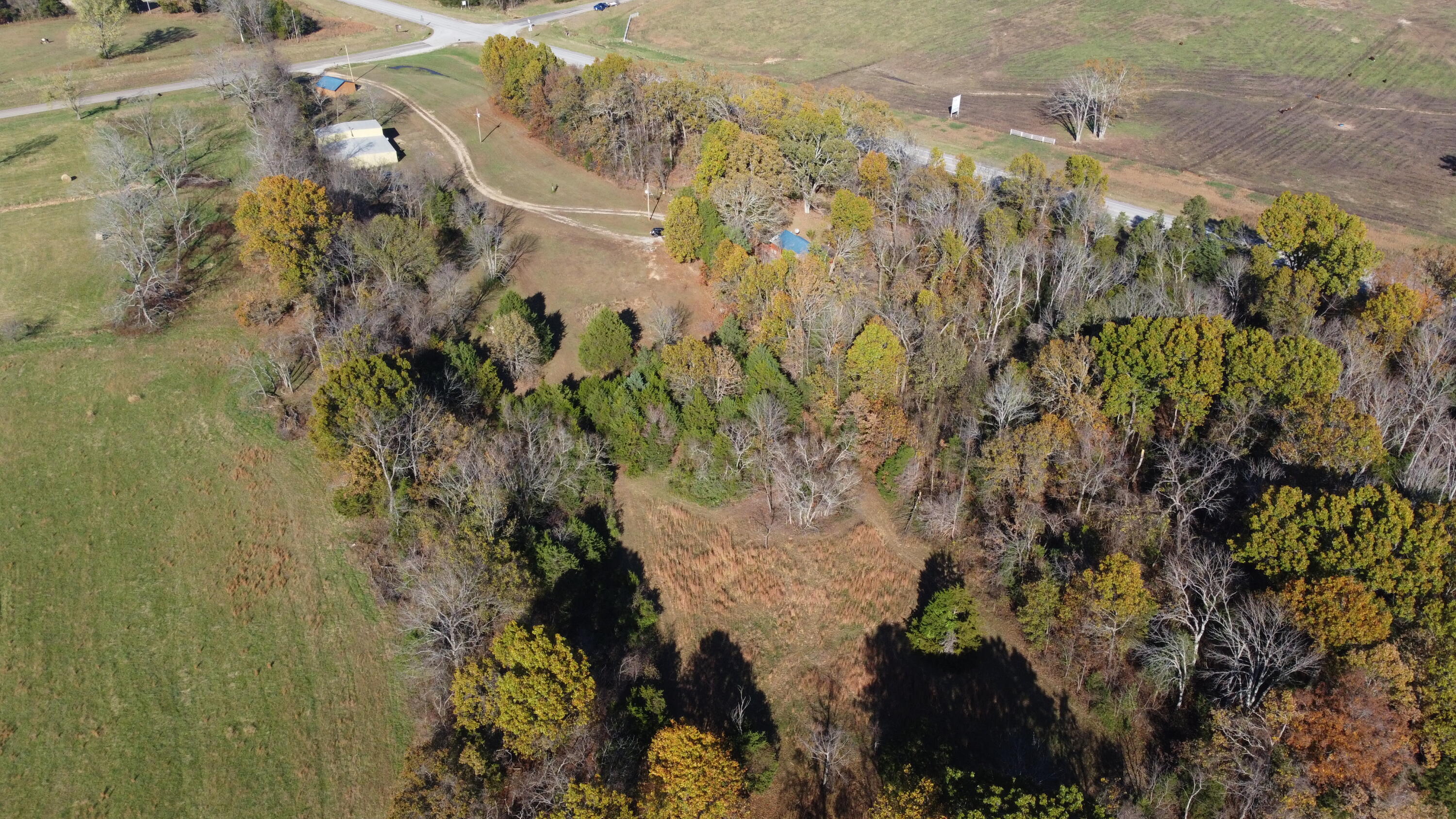 129 Oneill Drive Property Photo 35