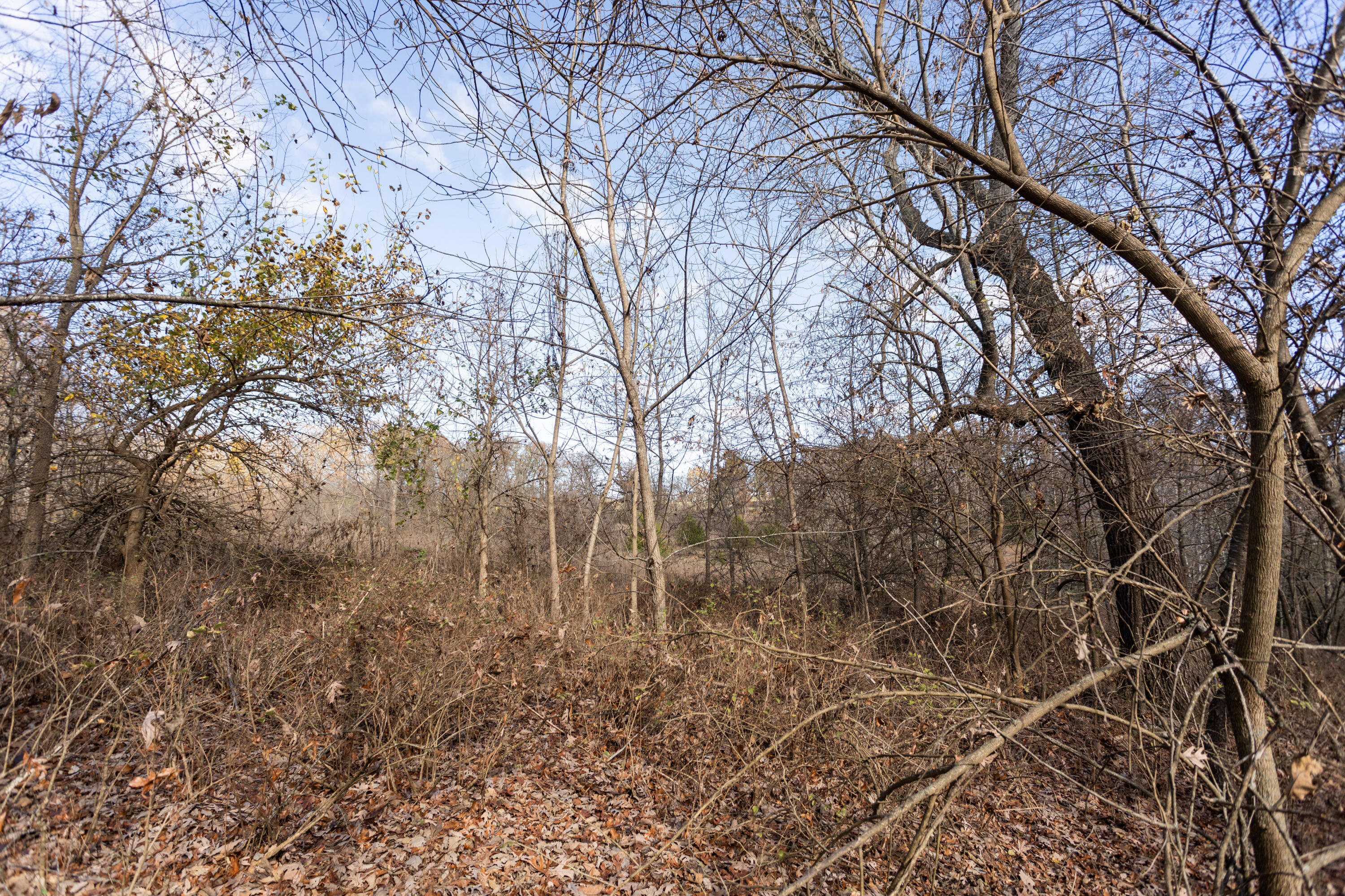 718 Davis Bridge Road Property Photo 49