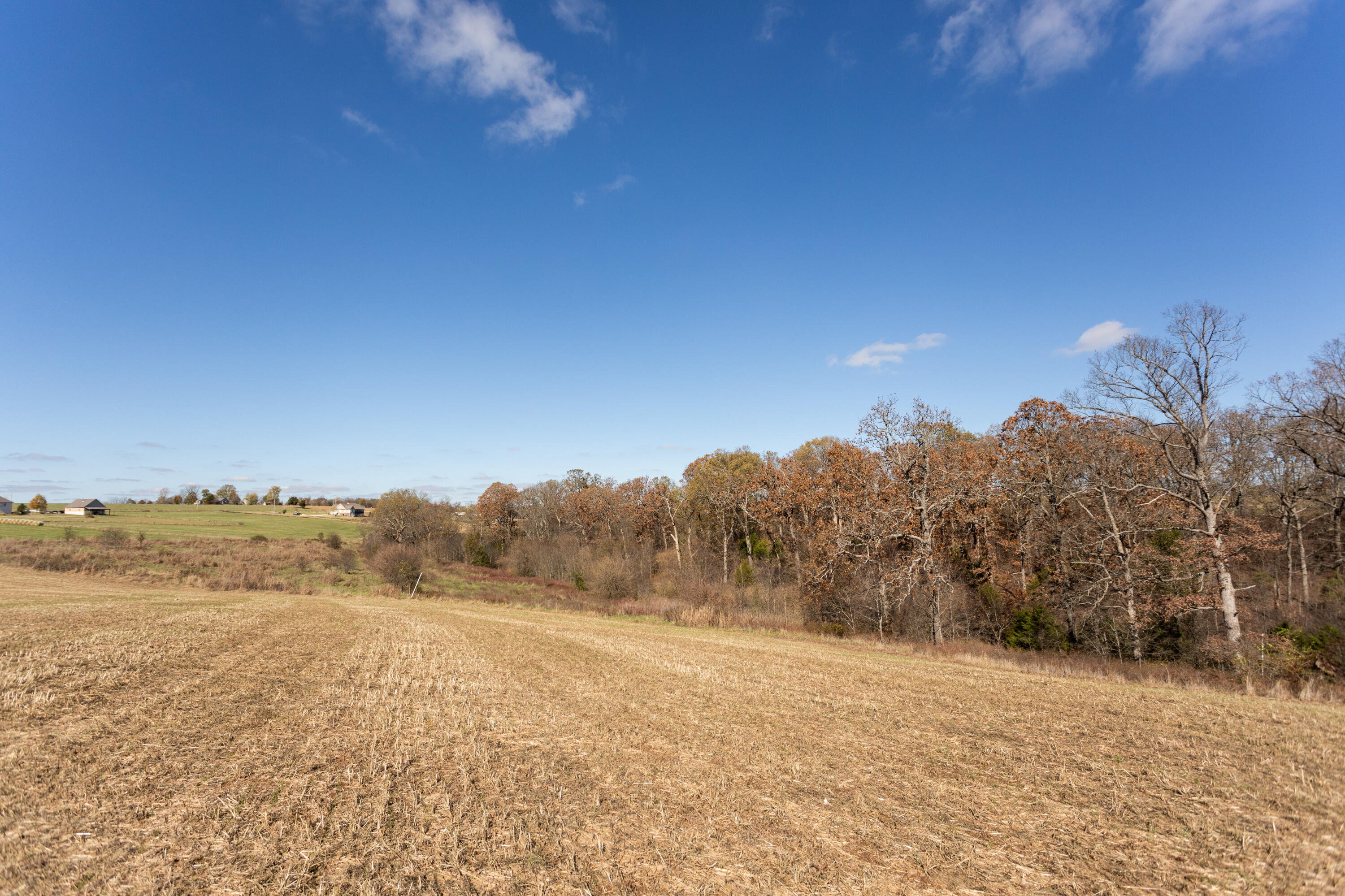 718 Davis Bridge Road Property Photo 50