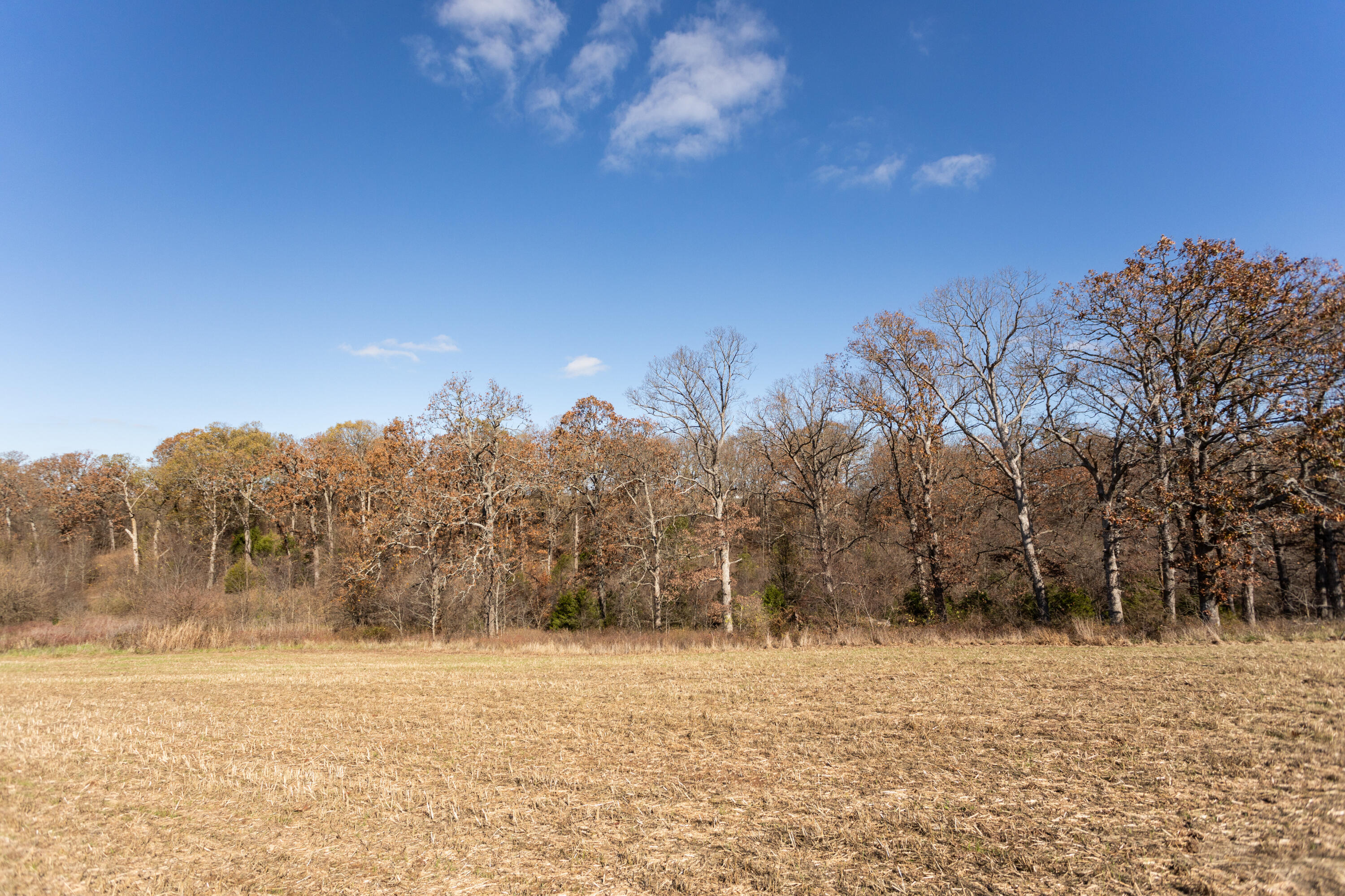 718 Davis Bridge Road Property Photo 51
