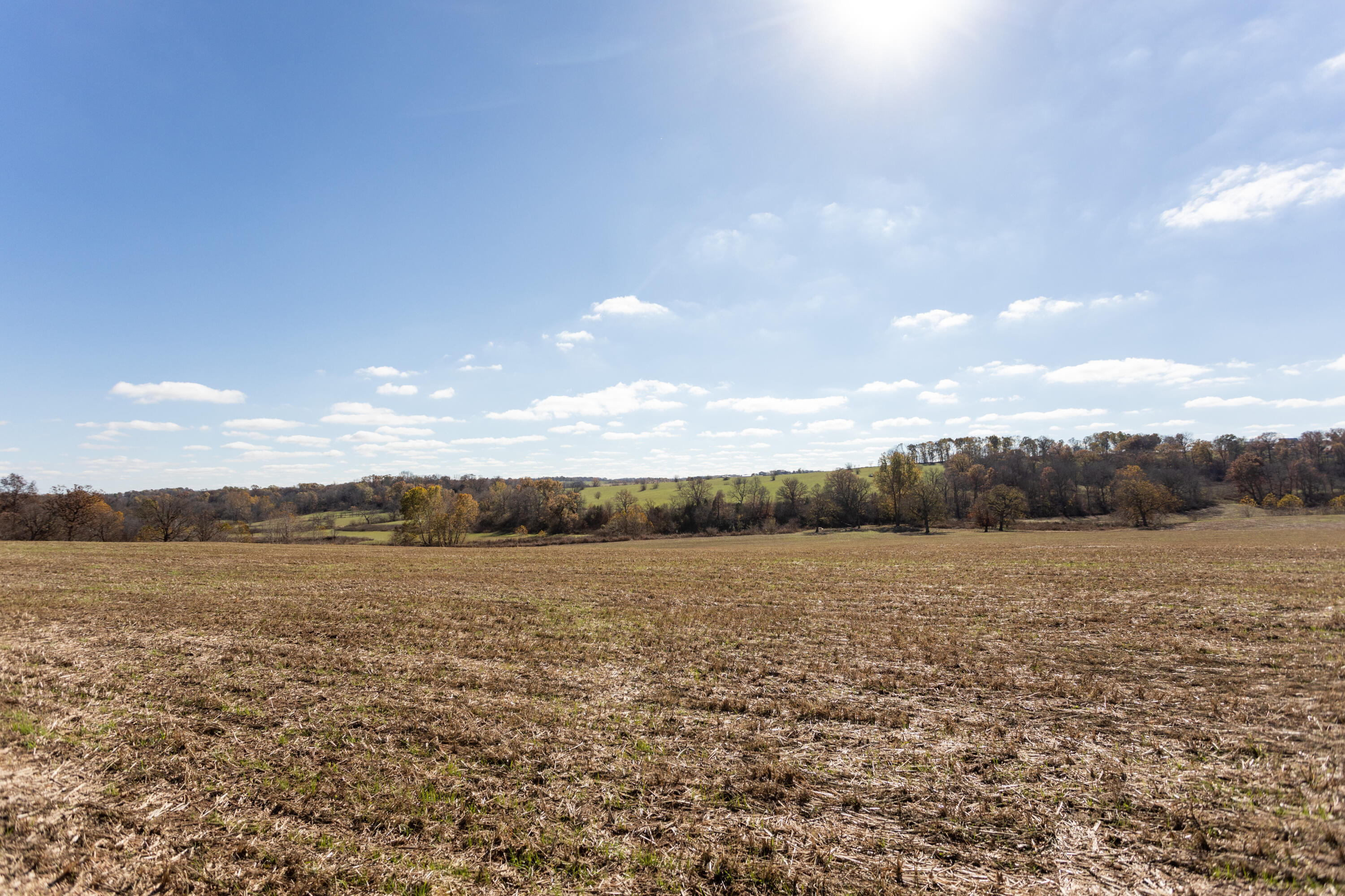 718 Davis Bridge Road Property Photo 52