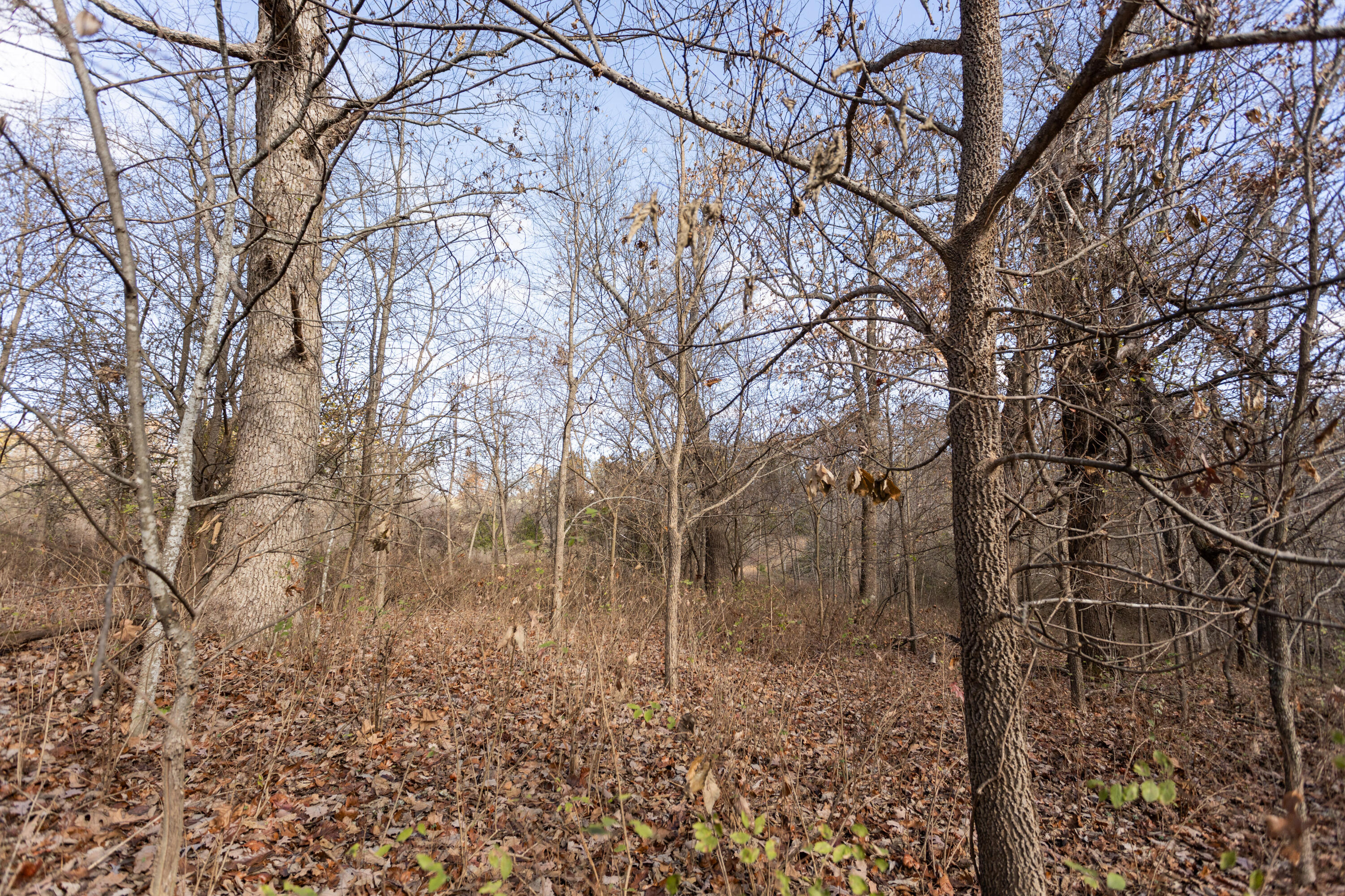 718 Davis Bridge Road Property Photo 37