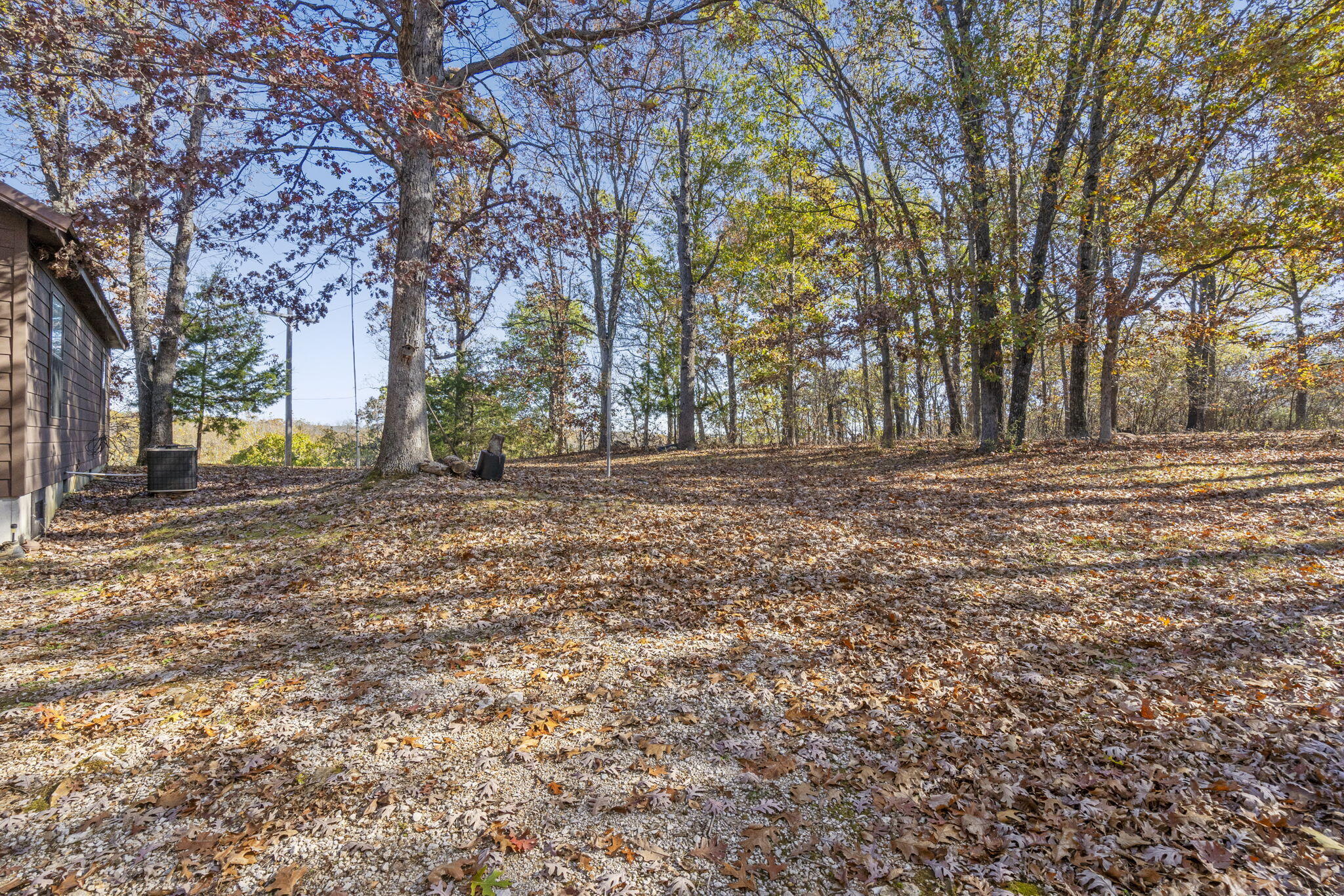 804 State Rte Y Property Photo 22