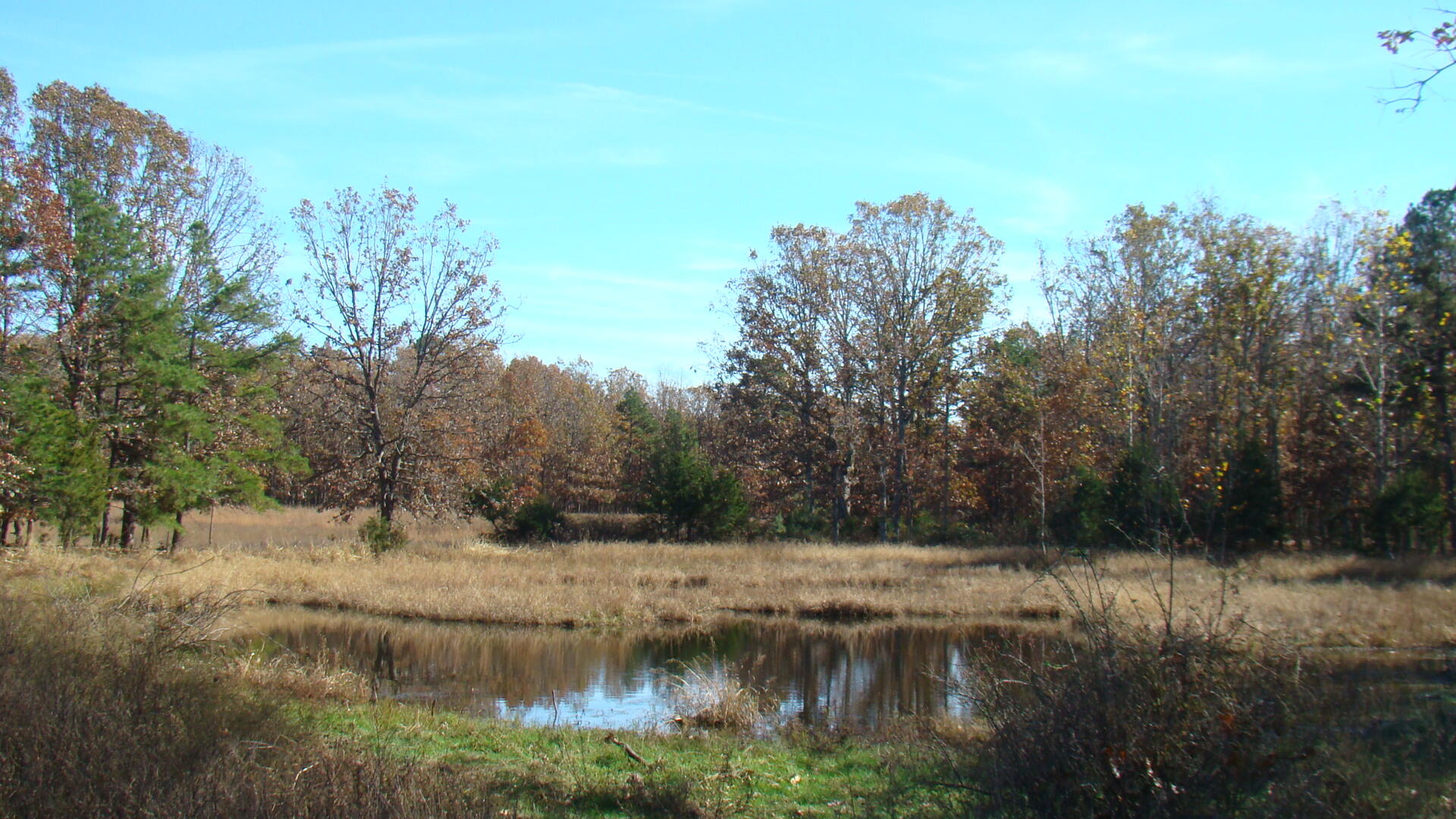 Tbd Highway K Property Photo 5