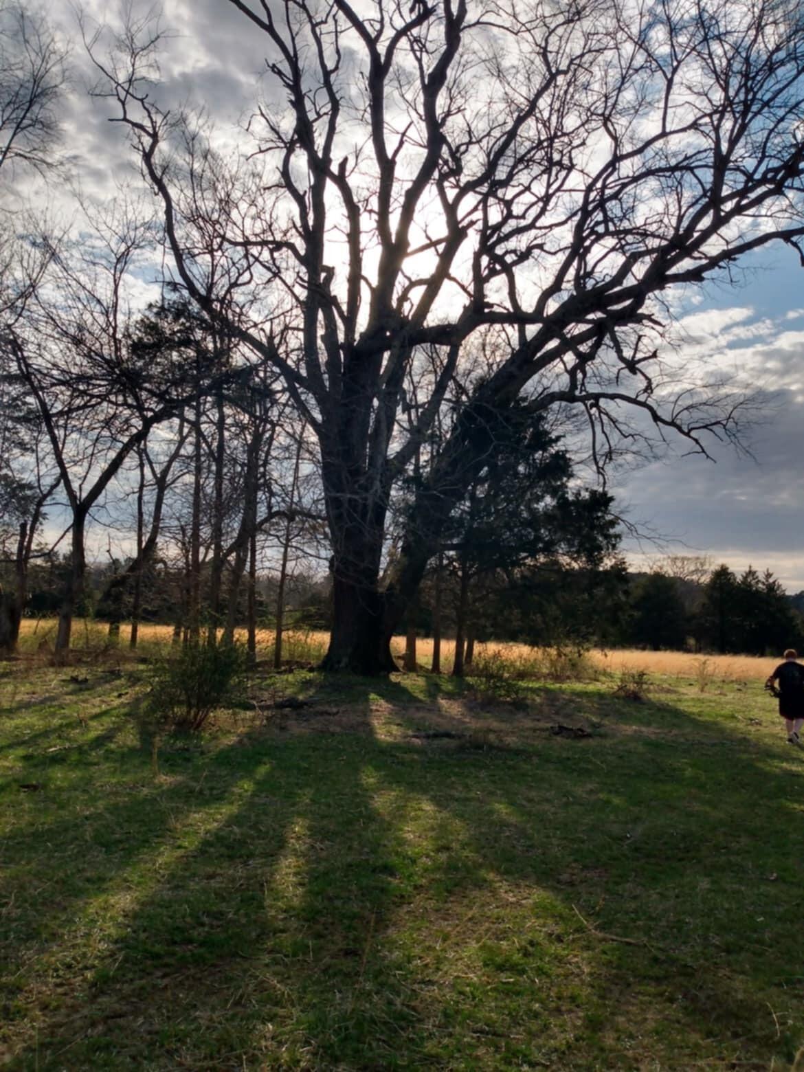 Tbd Highway K Property Photo 6