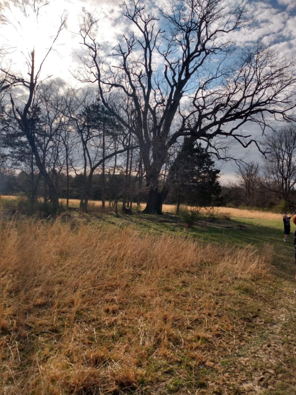 Tbd Highway K Property Photo 7
