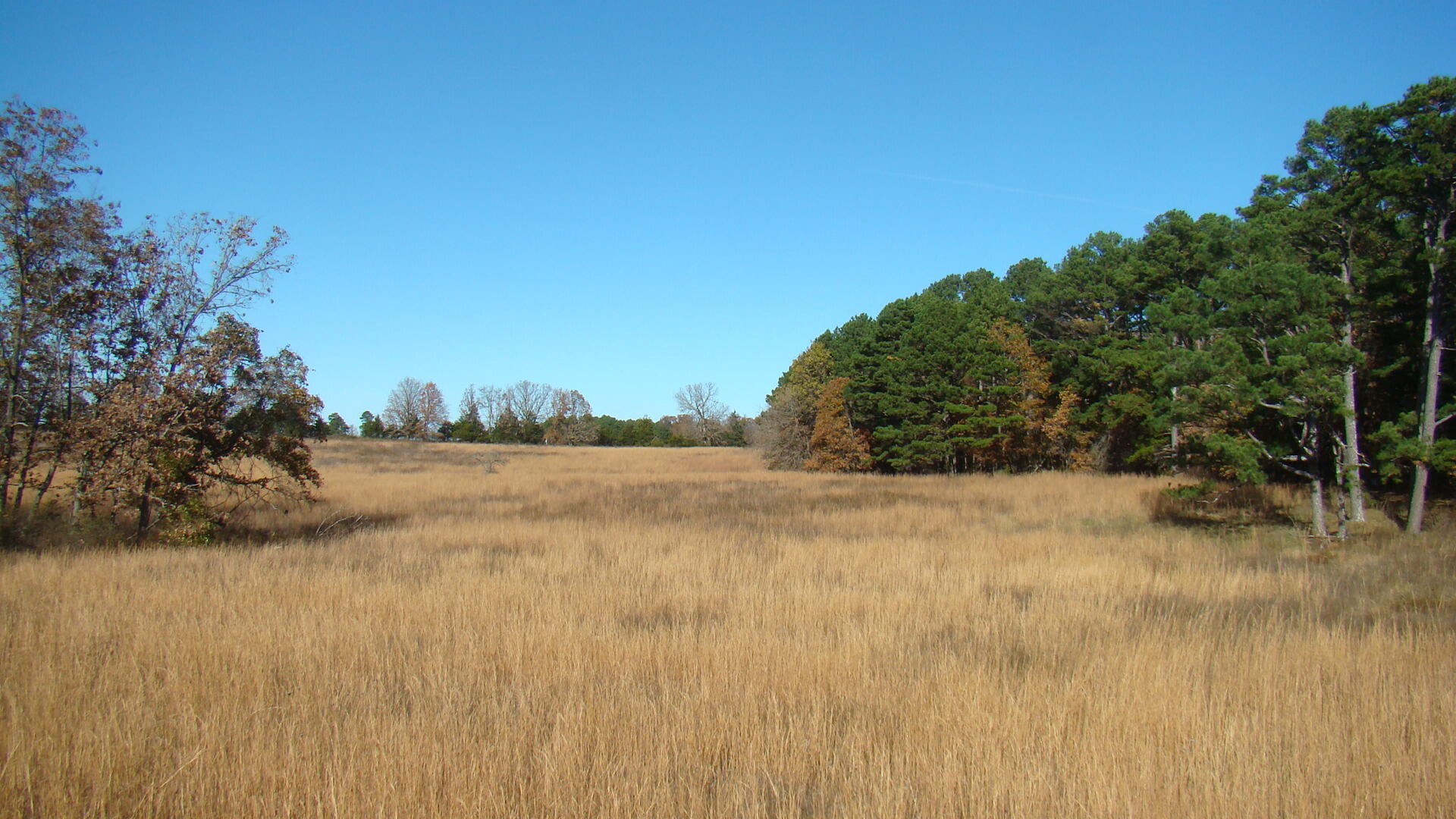 Tbd Highway K Property Photo 8