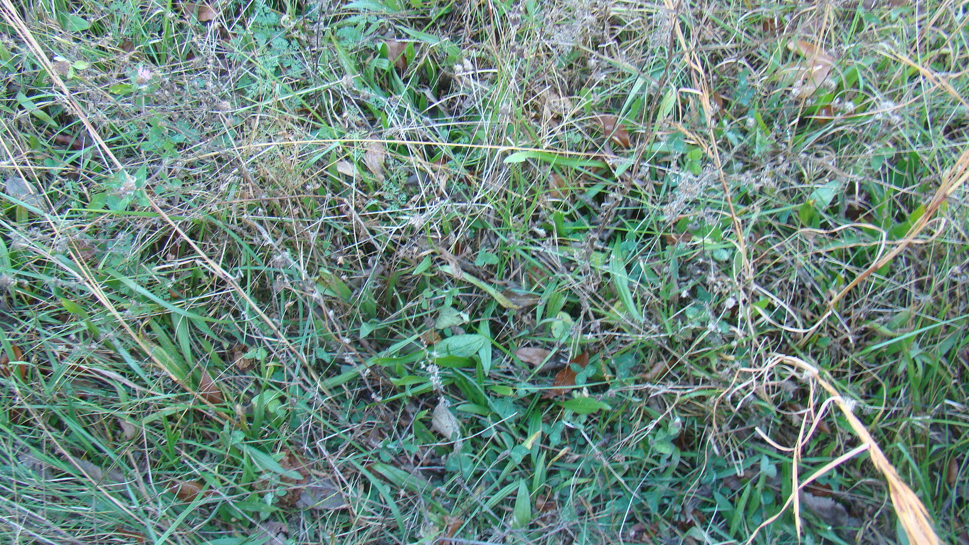 Tbd Highway K Property Photo 9
