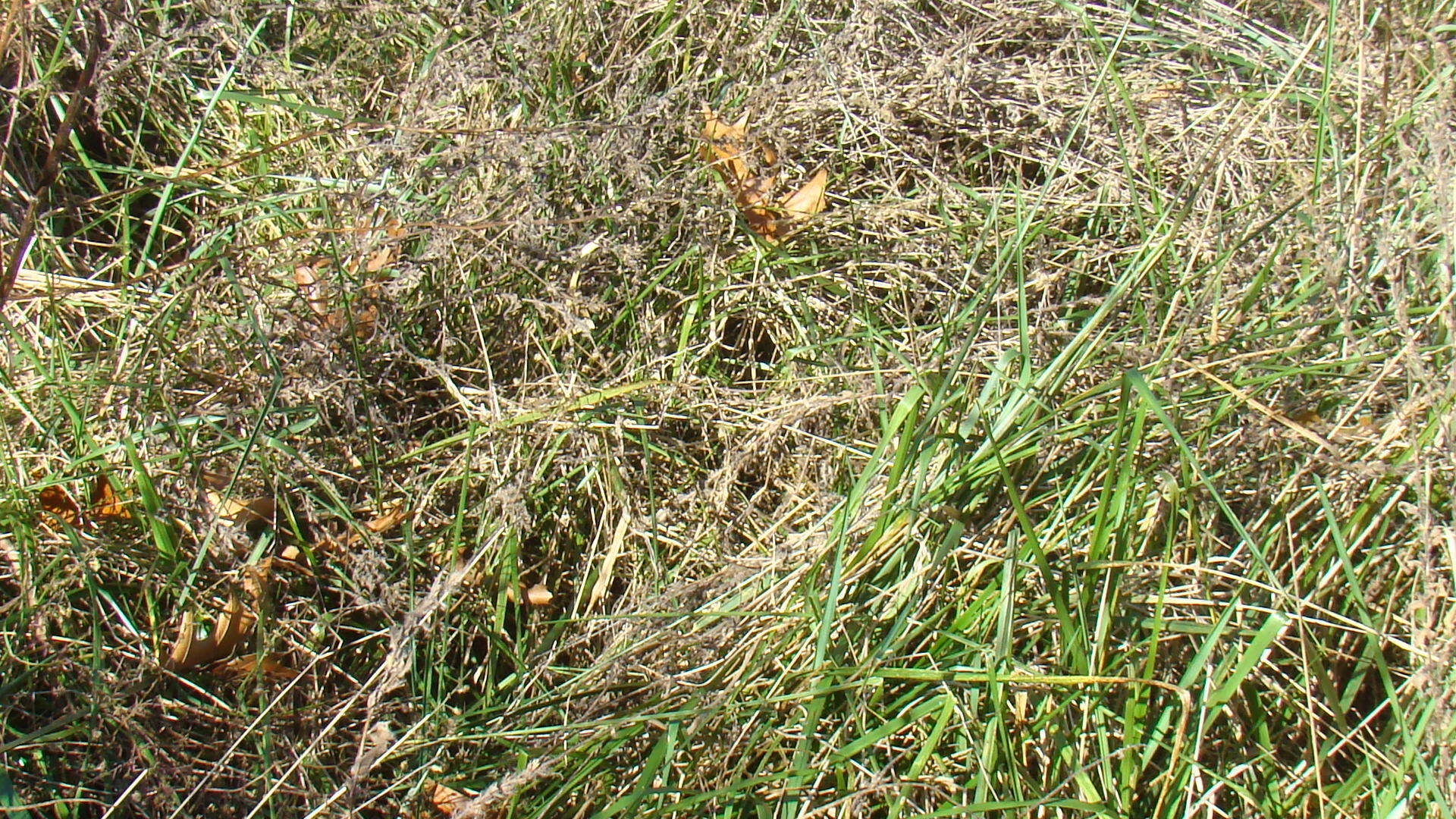 Tbd Highway K Property Photo 10