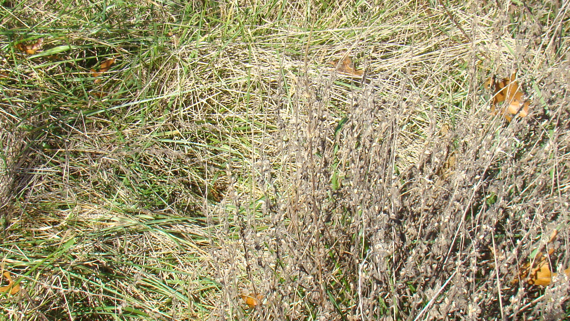 Tbd Highway K Property Photo 11