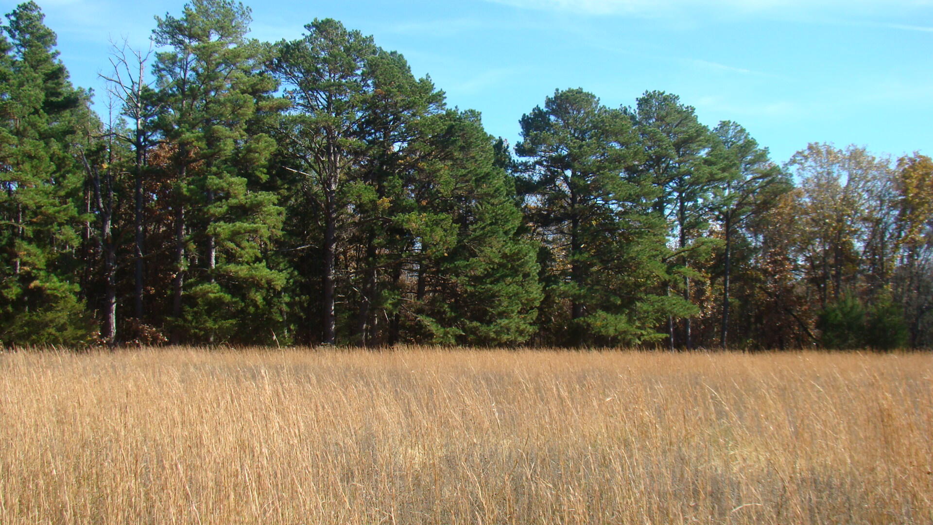 Tbd Highway K Property Photo 12
