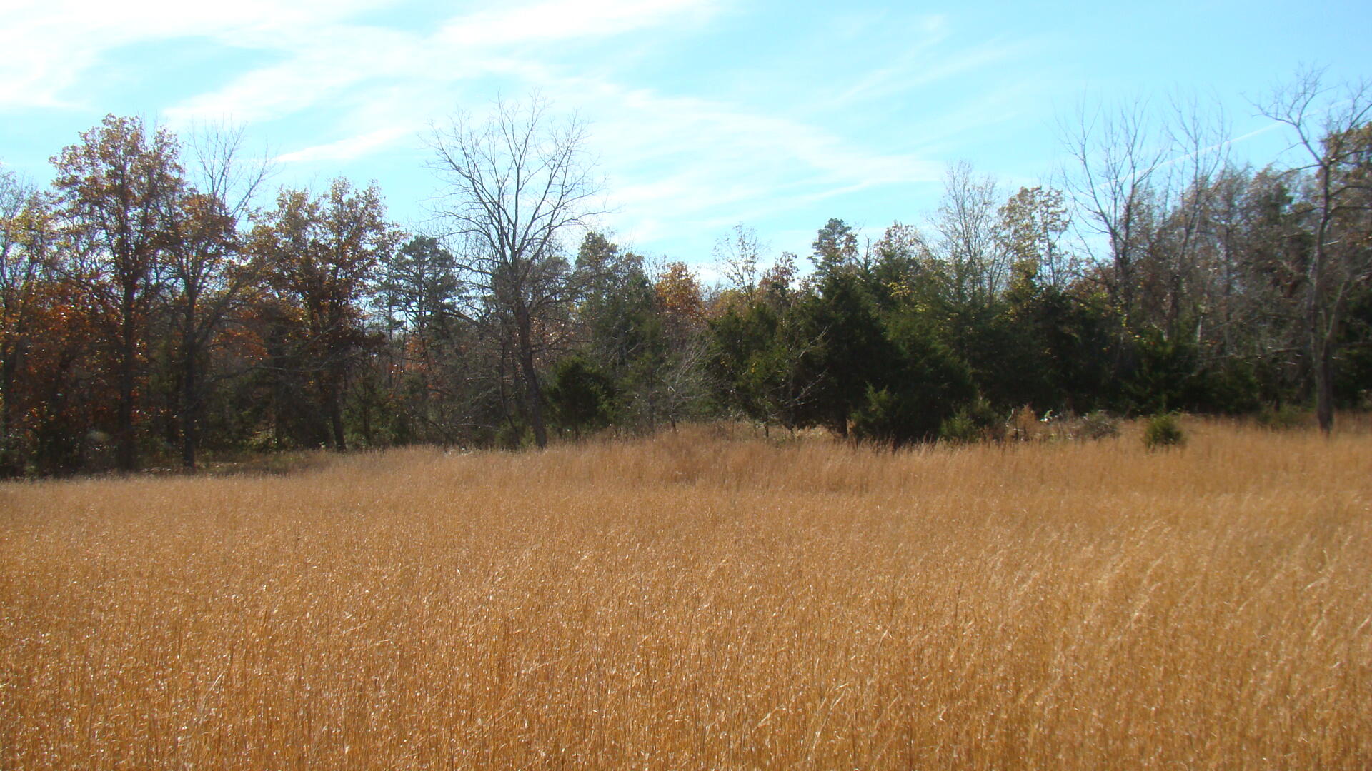Tbd Highway K Property Photo 13