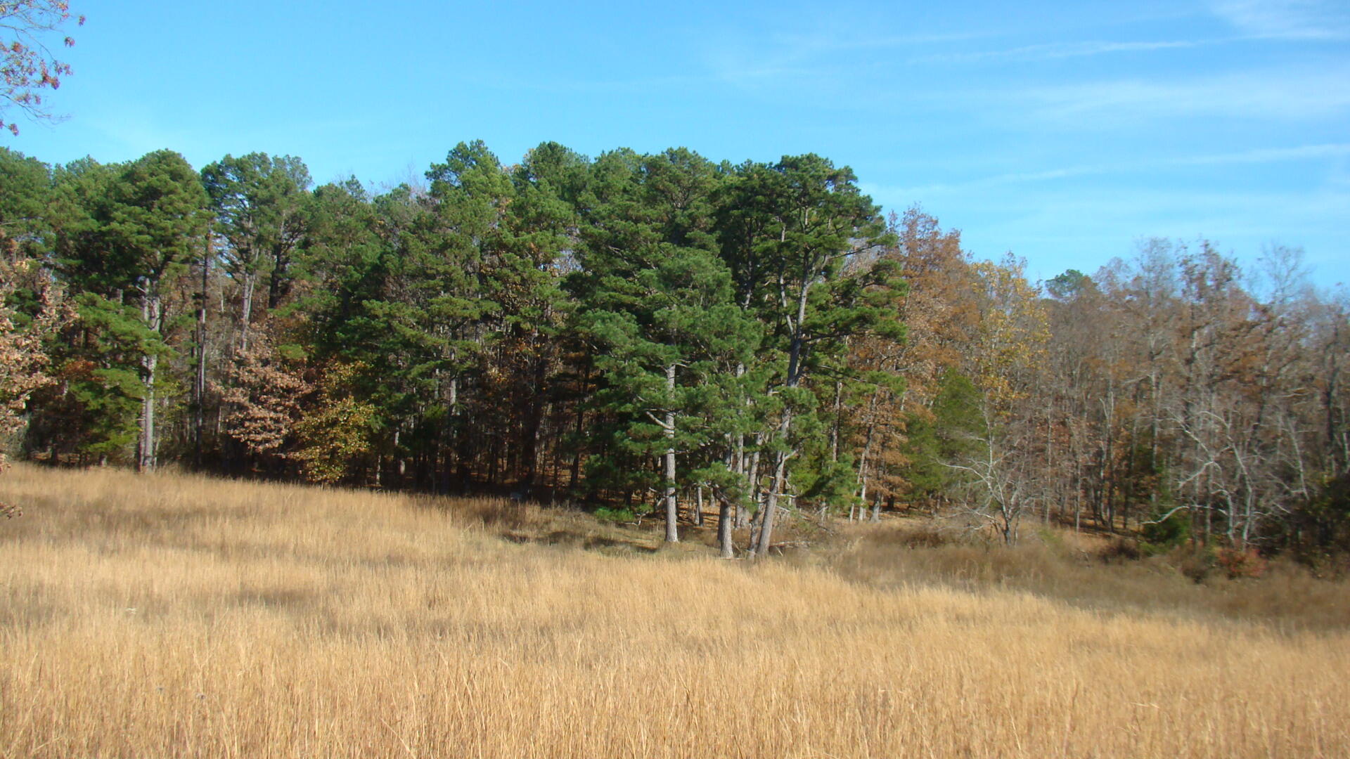 Tbd Highway K Property Photo 14