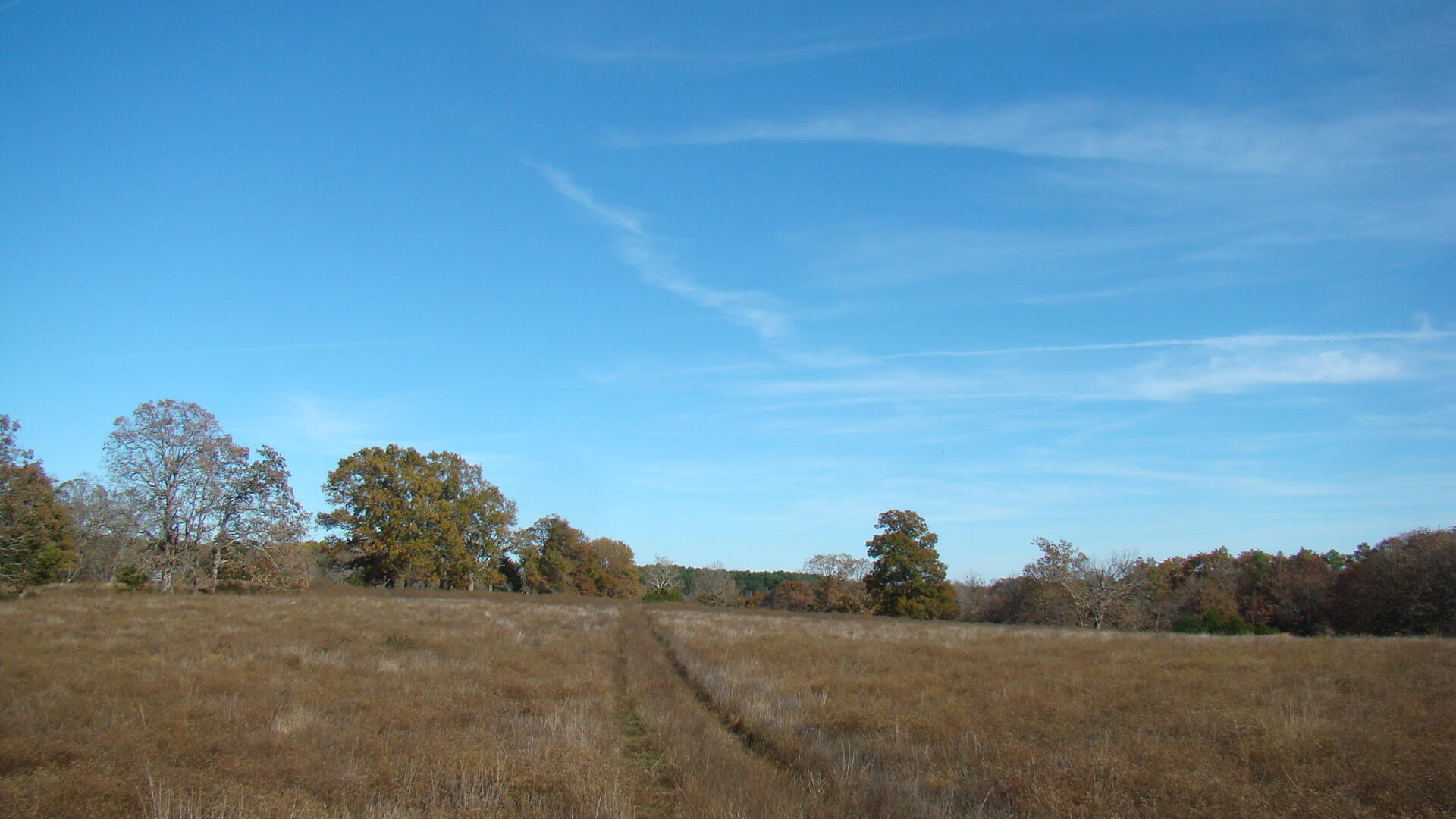 Tbd Highway K Property Photo 15