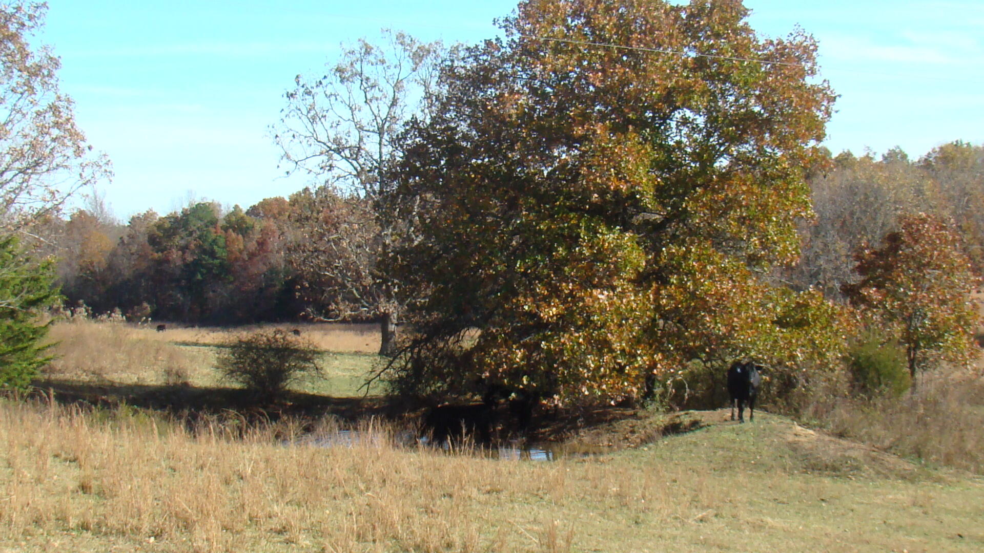 Tbd Highway K Property Photo 17