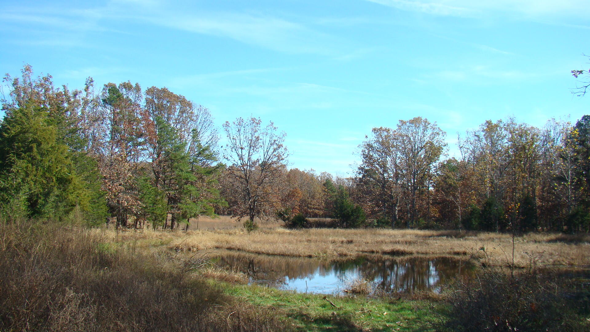 Tbd Highway K Property Photo 18