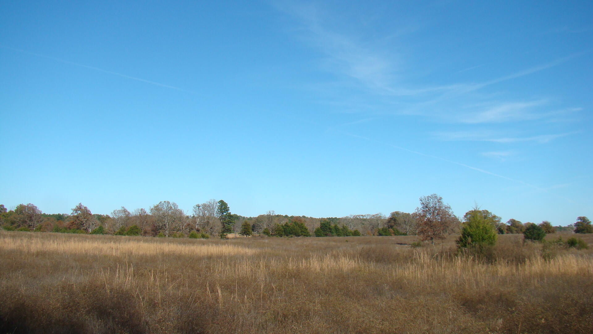 Tbd Highway K Property Photo 19