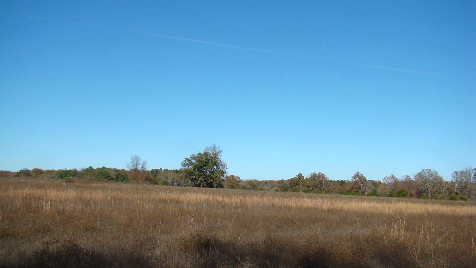 Tbd Highway K Property Photo 20