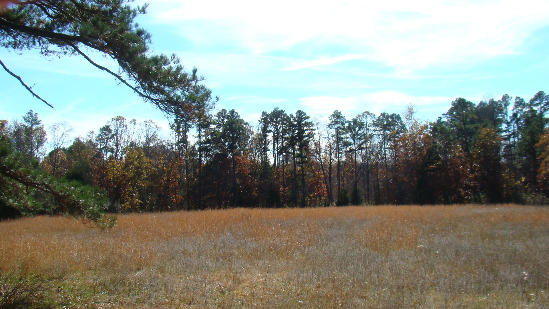 Tbd Highway K Property Photo 21