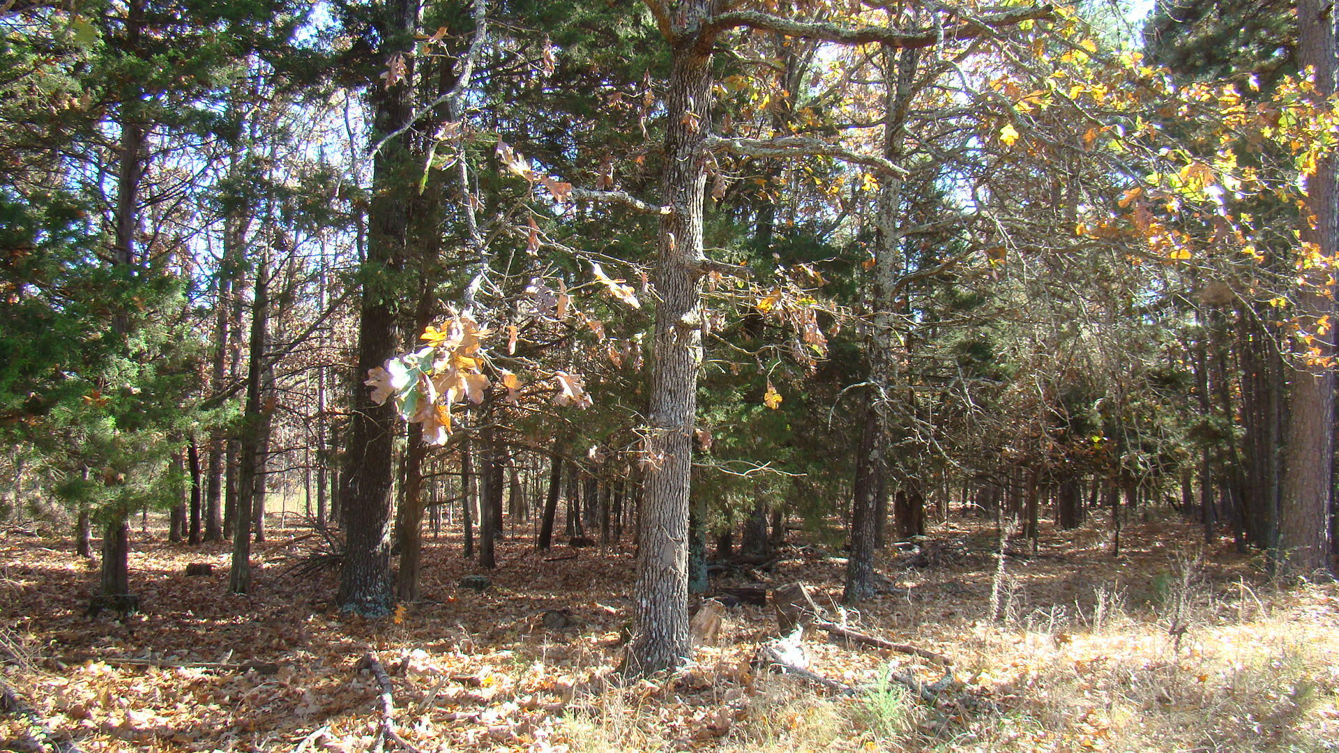 Tbd Highway K Property Photo 27