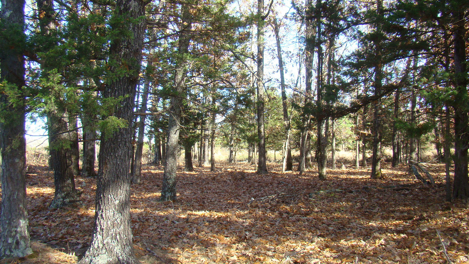 Tbd Highway K Property Photo 28