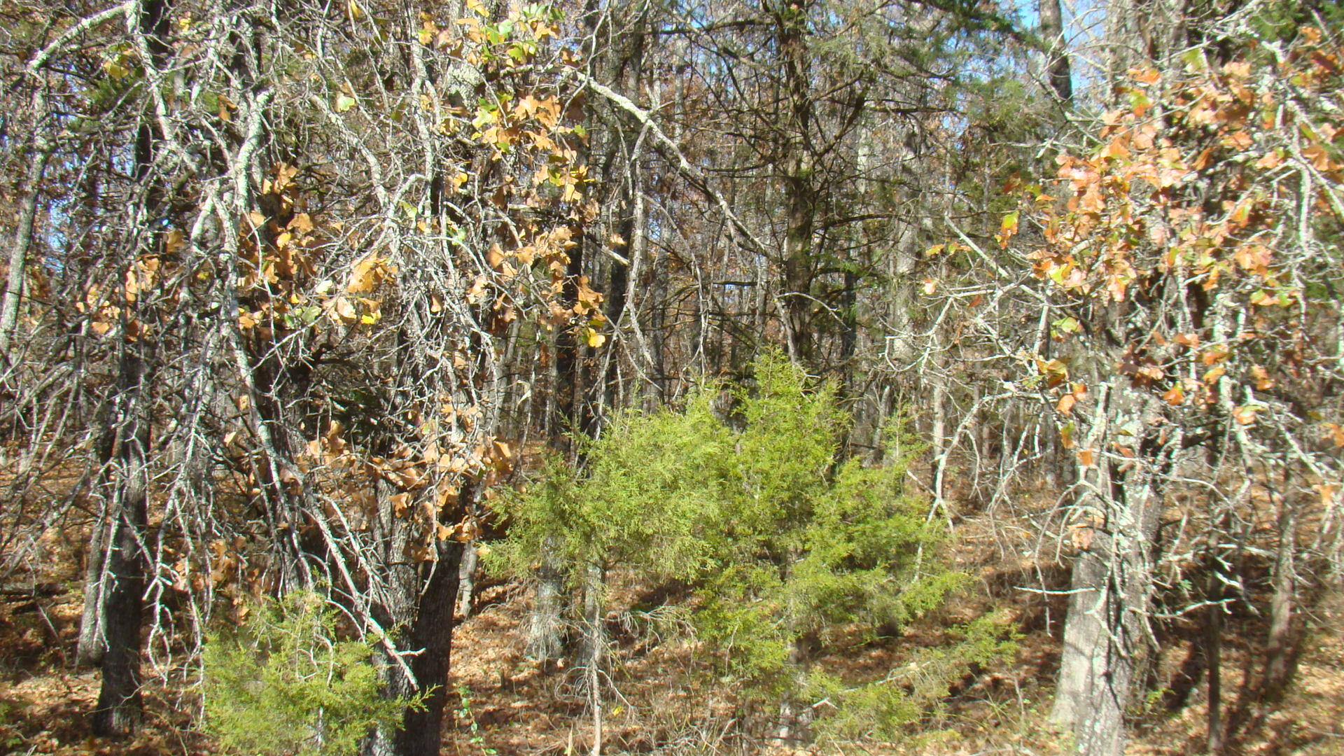 Tbd Highway K Property Photo 29