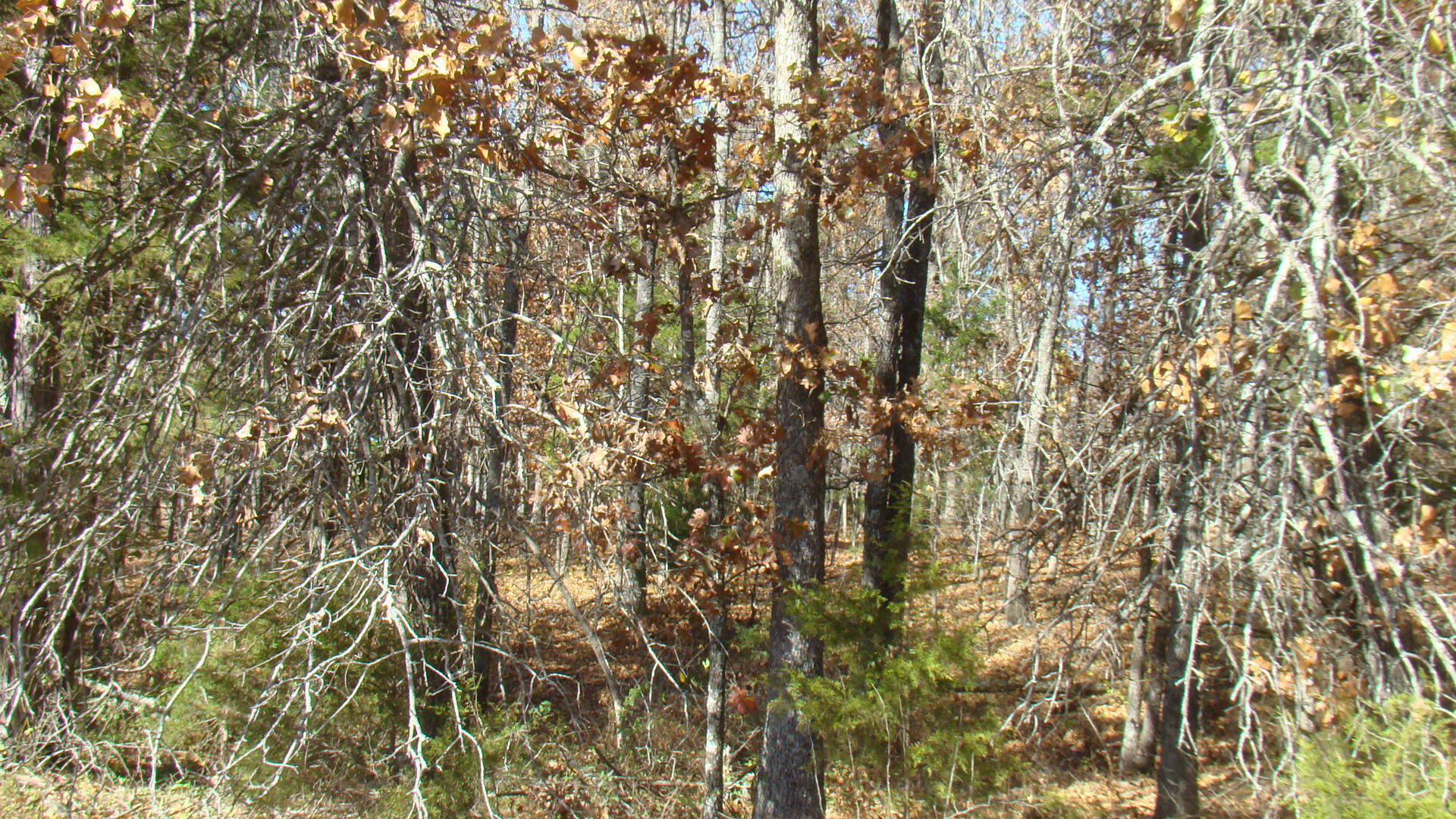 Tbd Highway K Property Photo 30