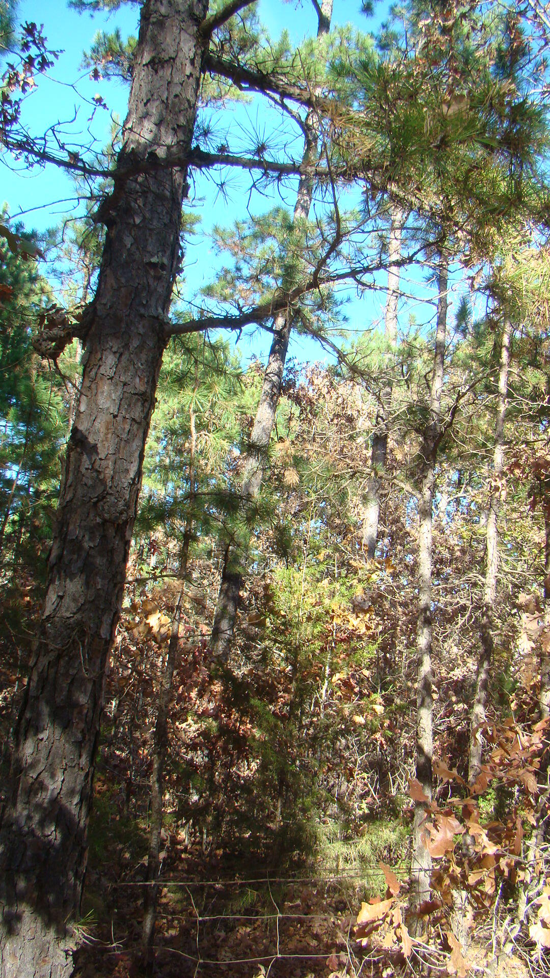 Tbd Highway K Property Photo 32