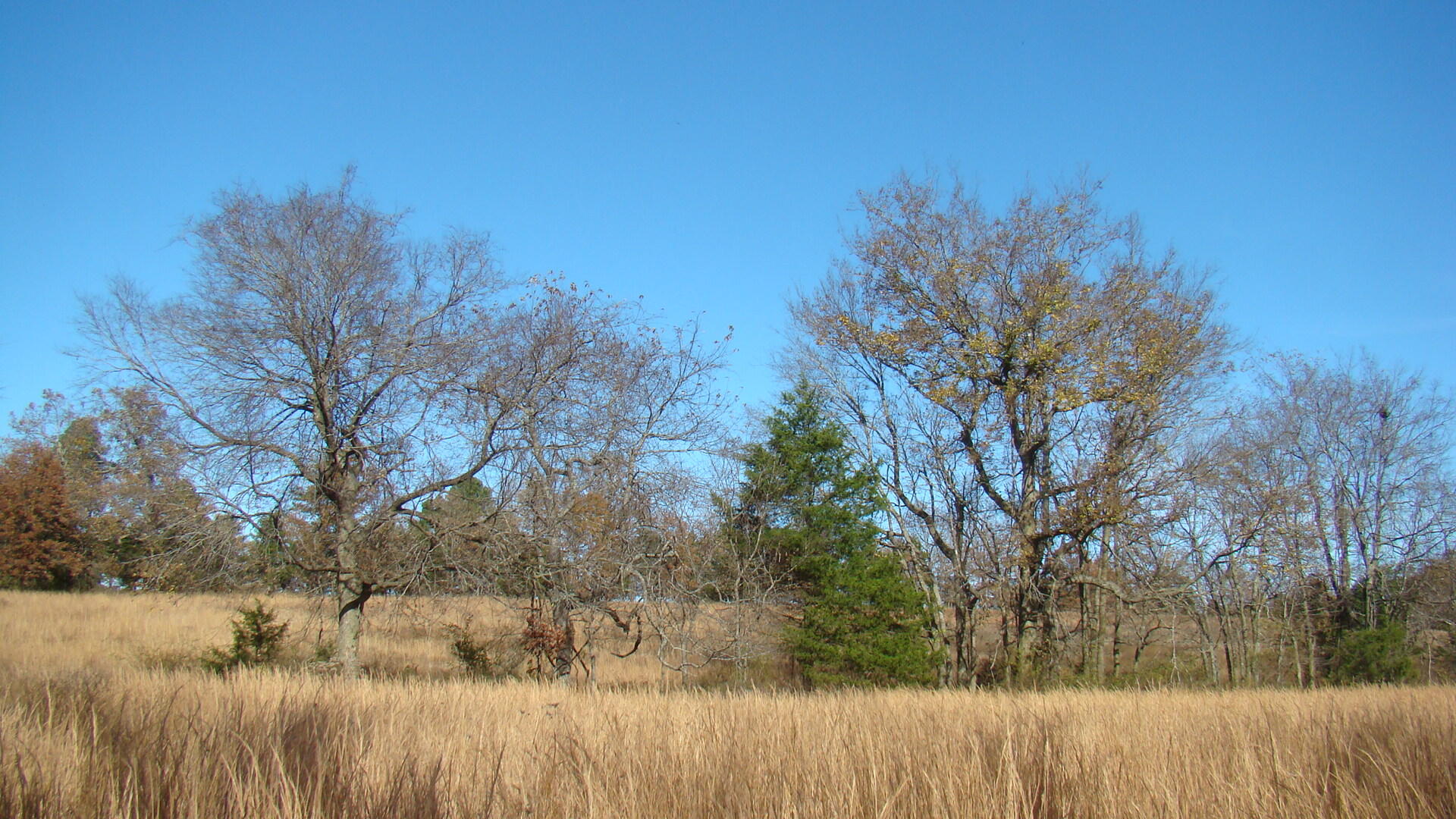 Tbd Highway K Property Photo 33