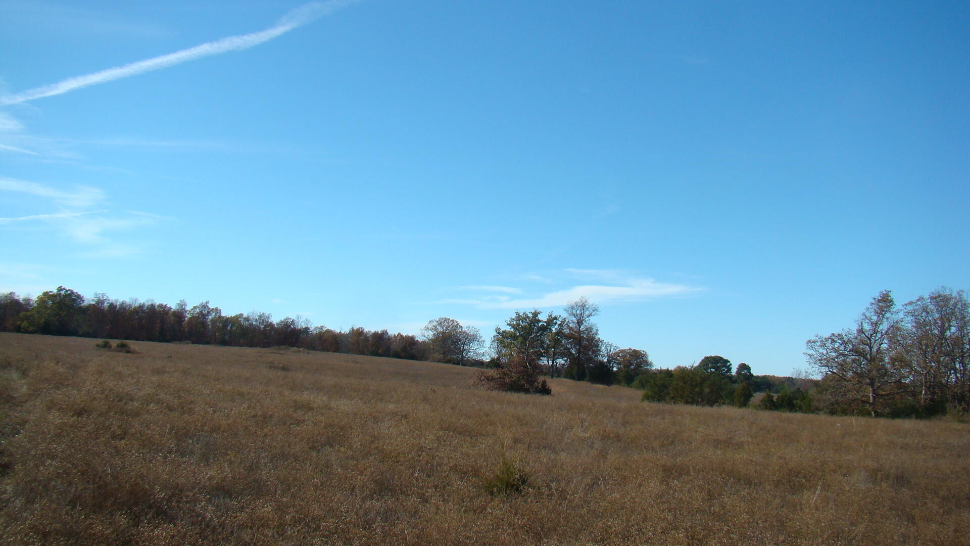 Tbd Highway K Property Photo 34