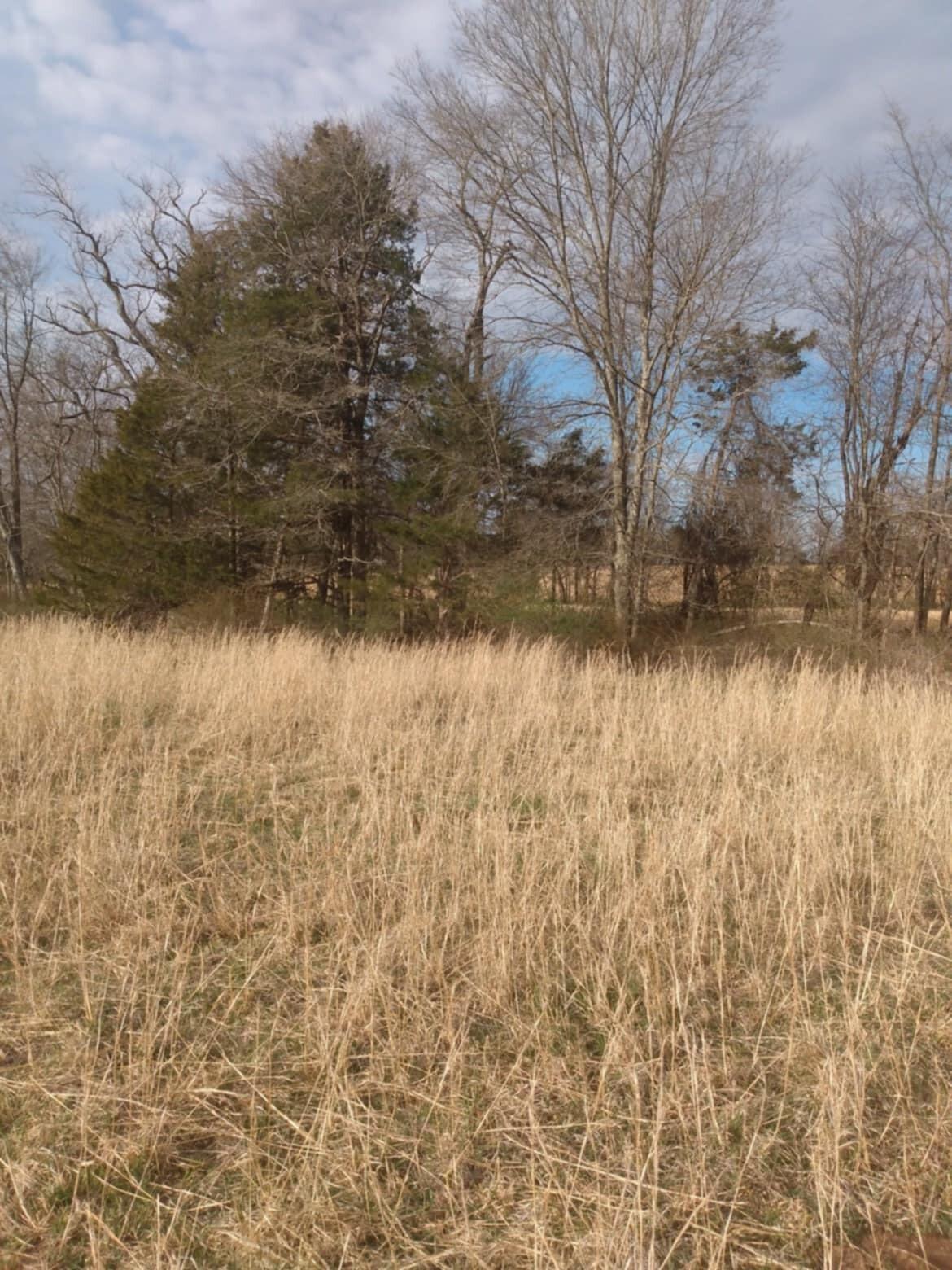 Tbd Highway K Property Photo 35