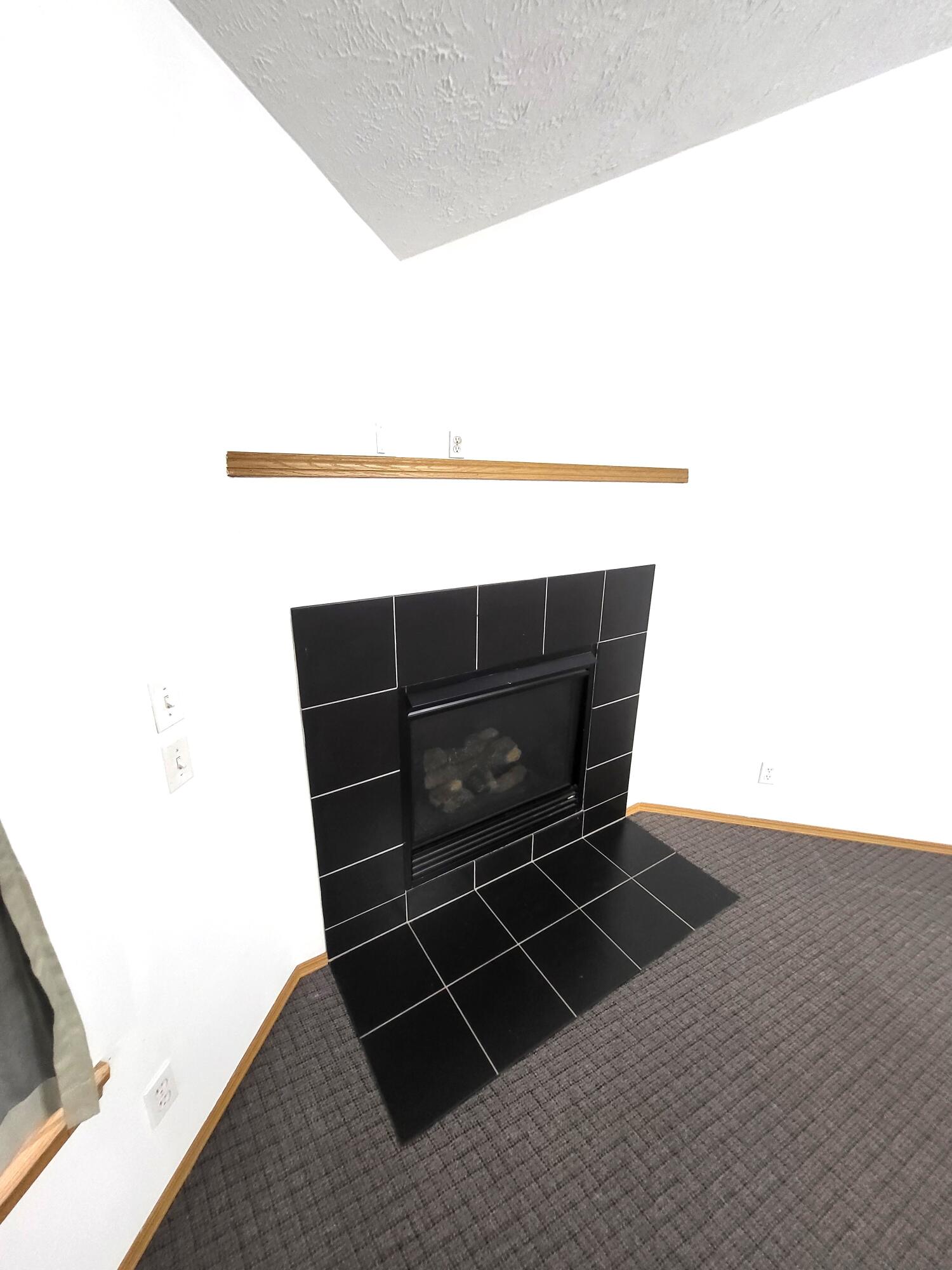 971 South Natalie Avenue Property Photo 6