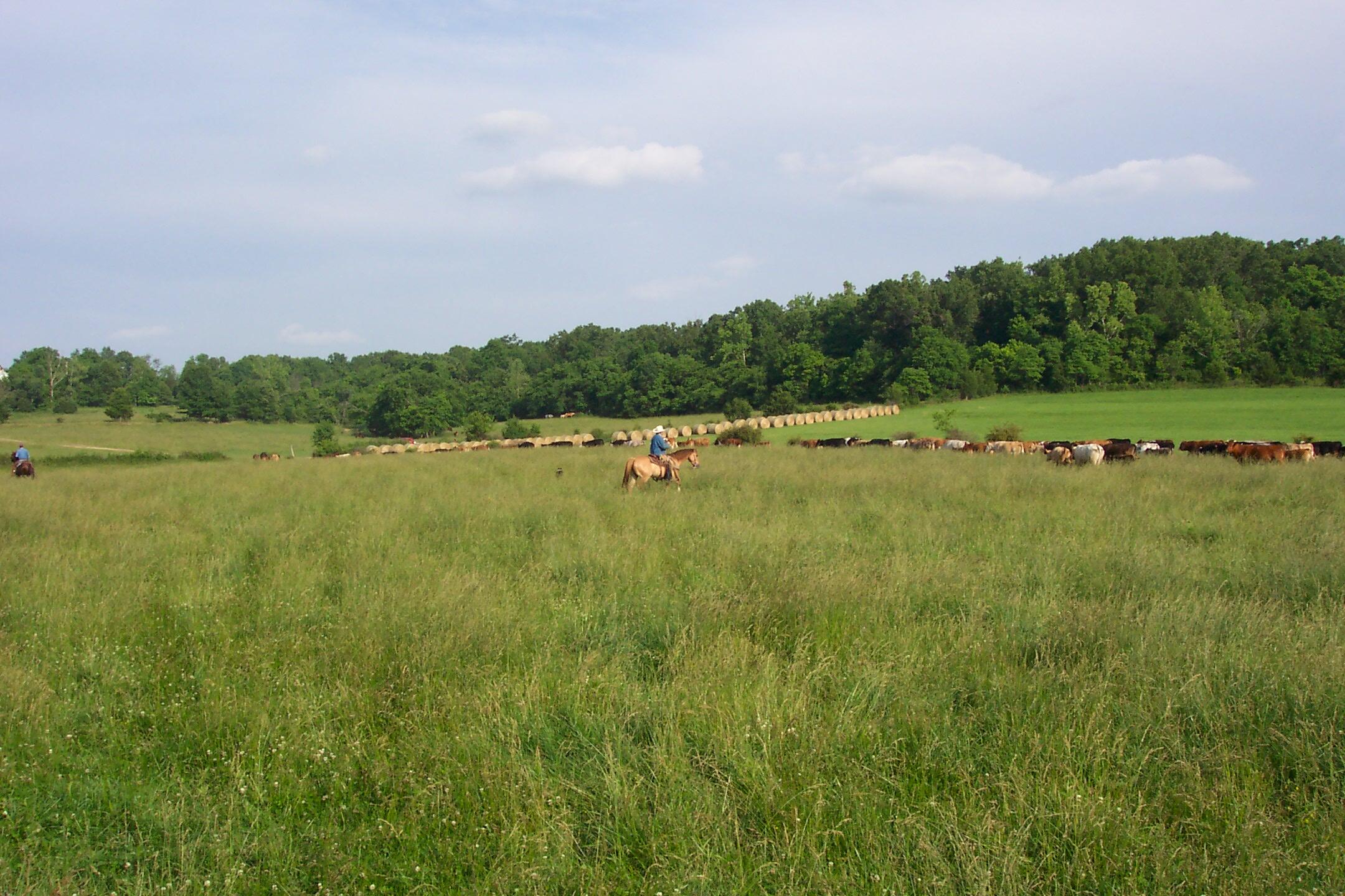 000 County Road 422 Property Photo 17